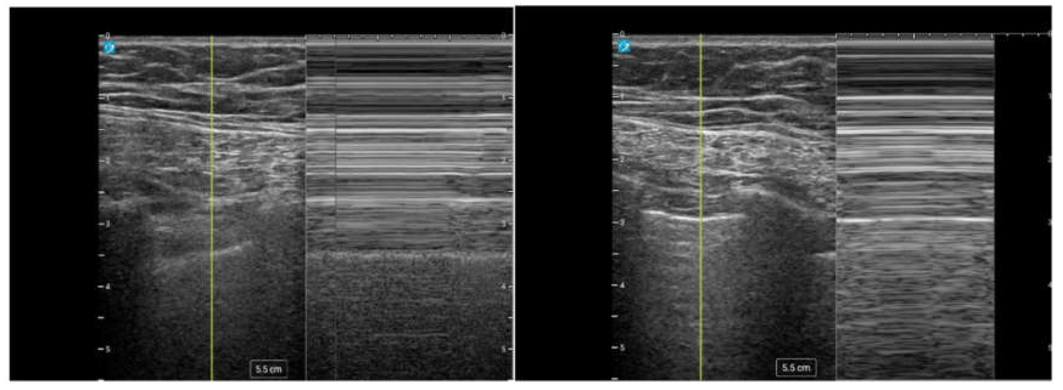 Preprints 155164 g010