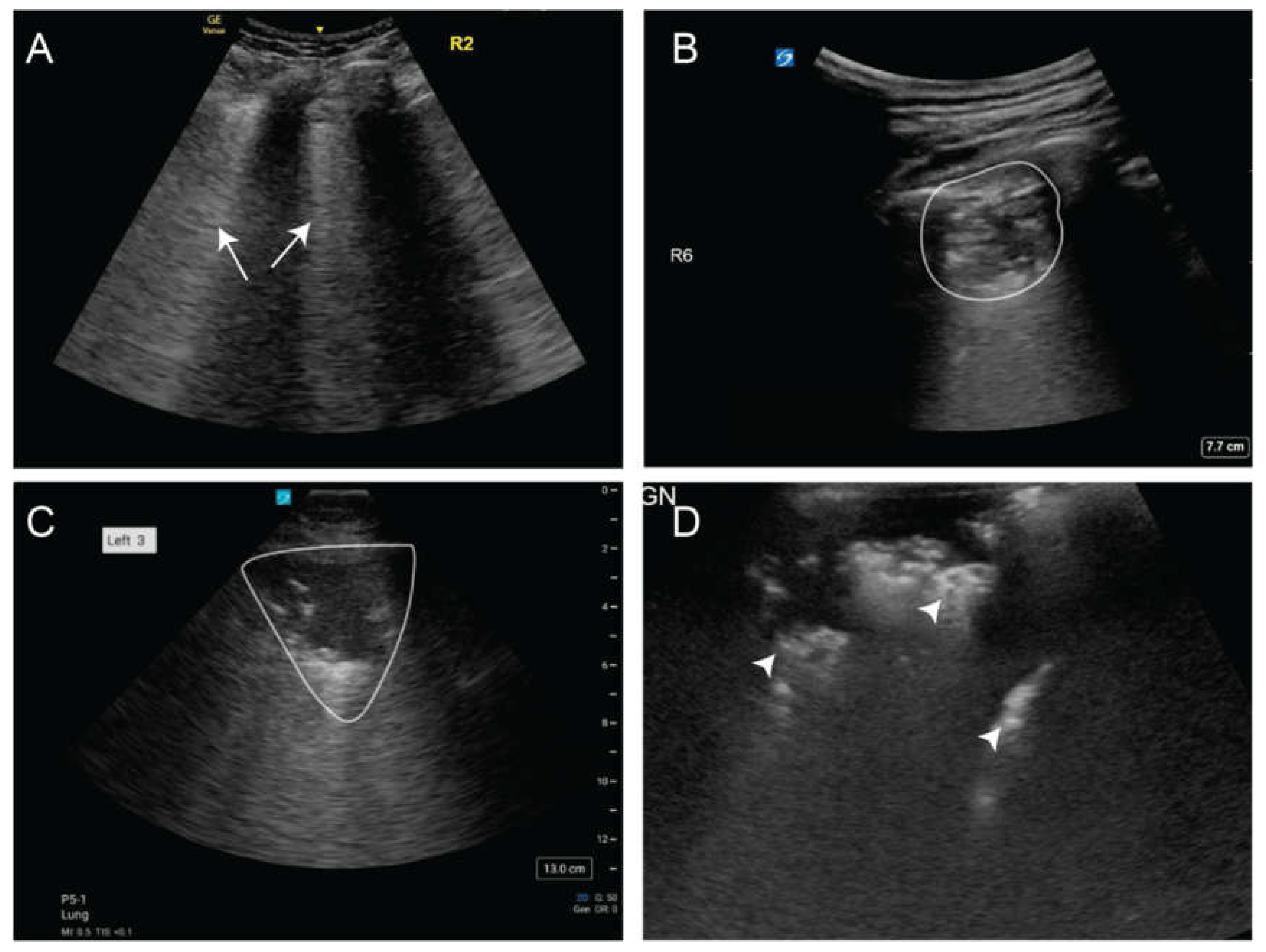 Preprints 155164 g011
