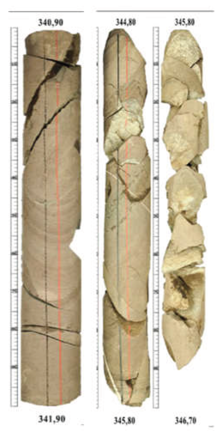 Preprints 206483 g005