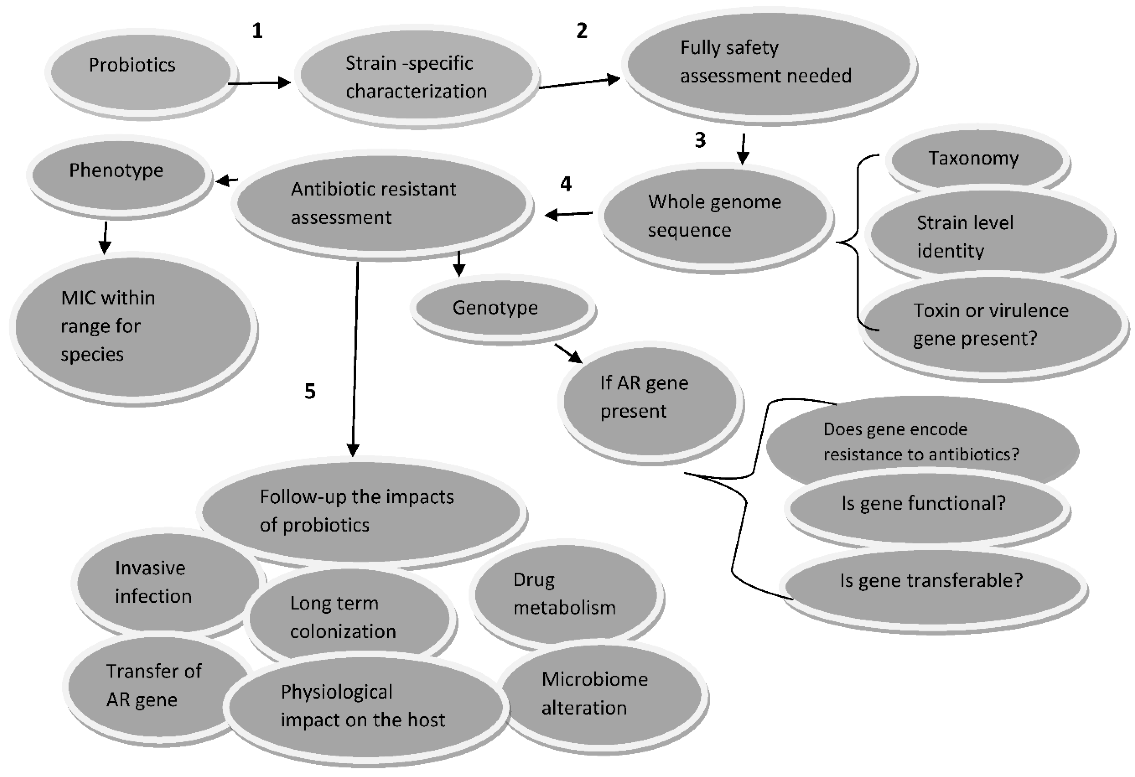 Preprints 104532 g001