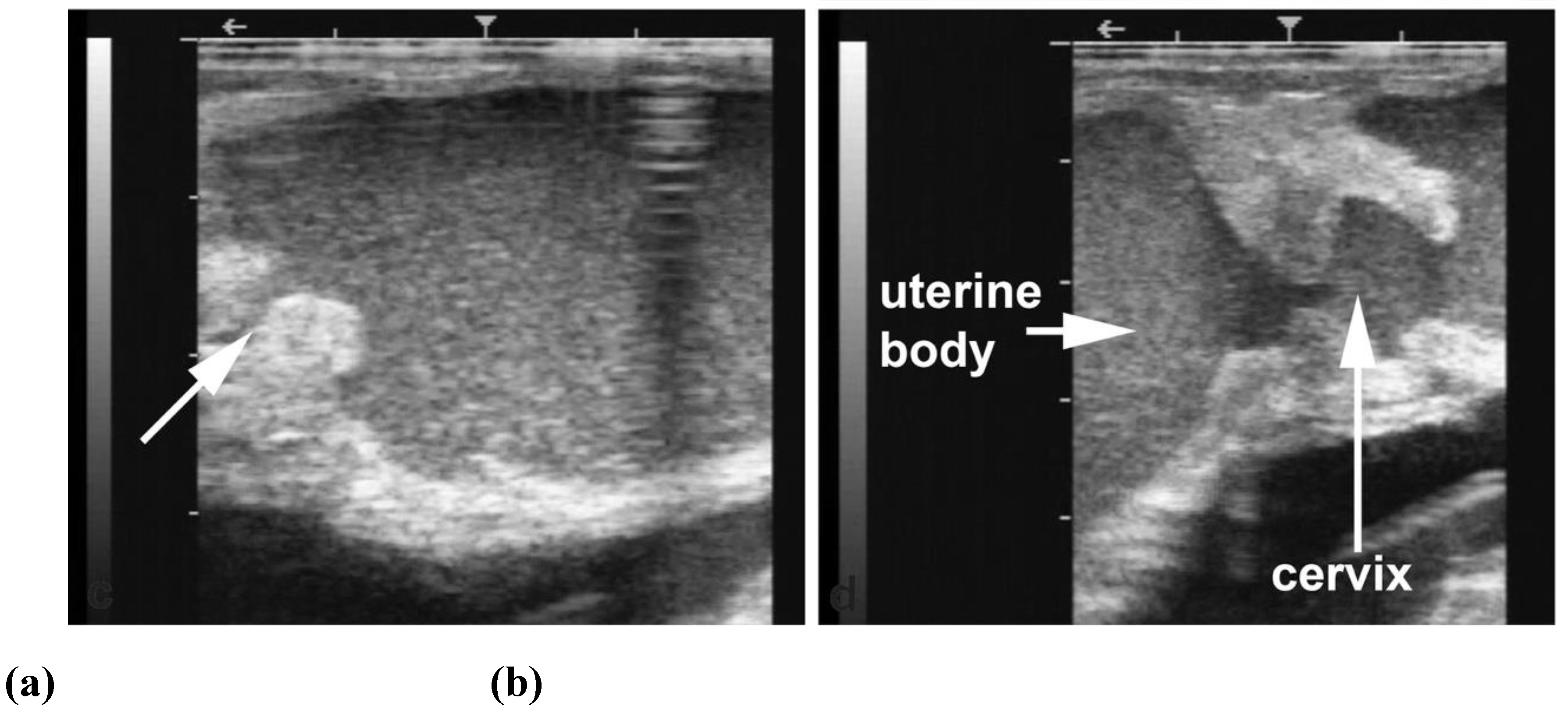 Preprints 173144 g002