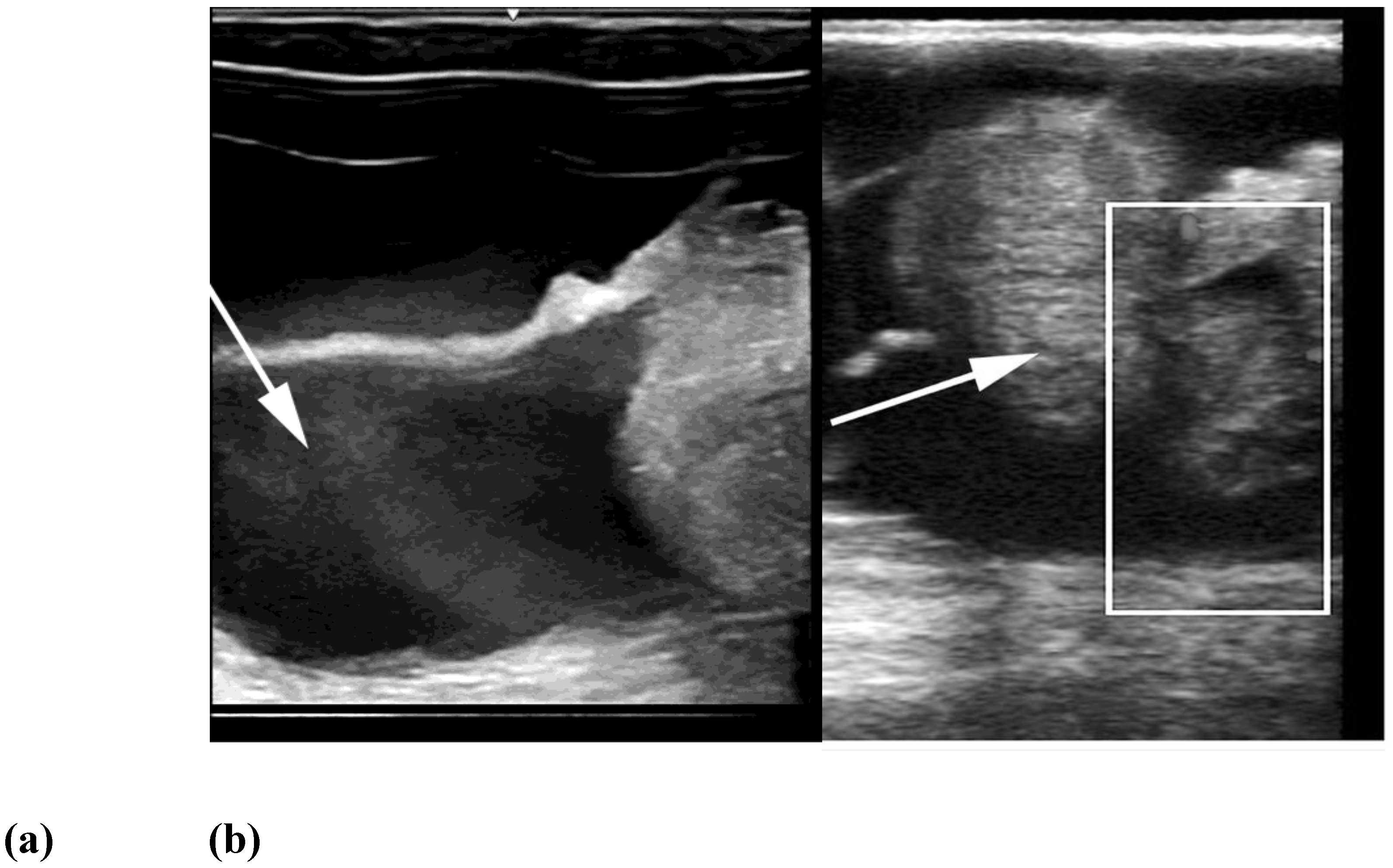 Preprints 173144 g006