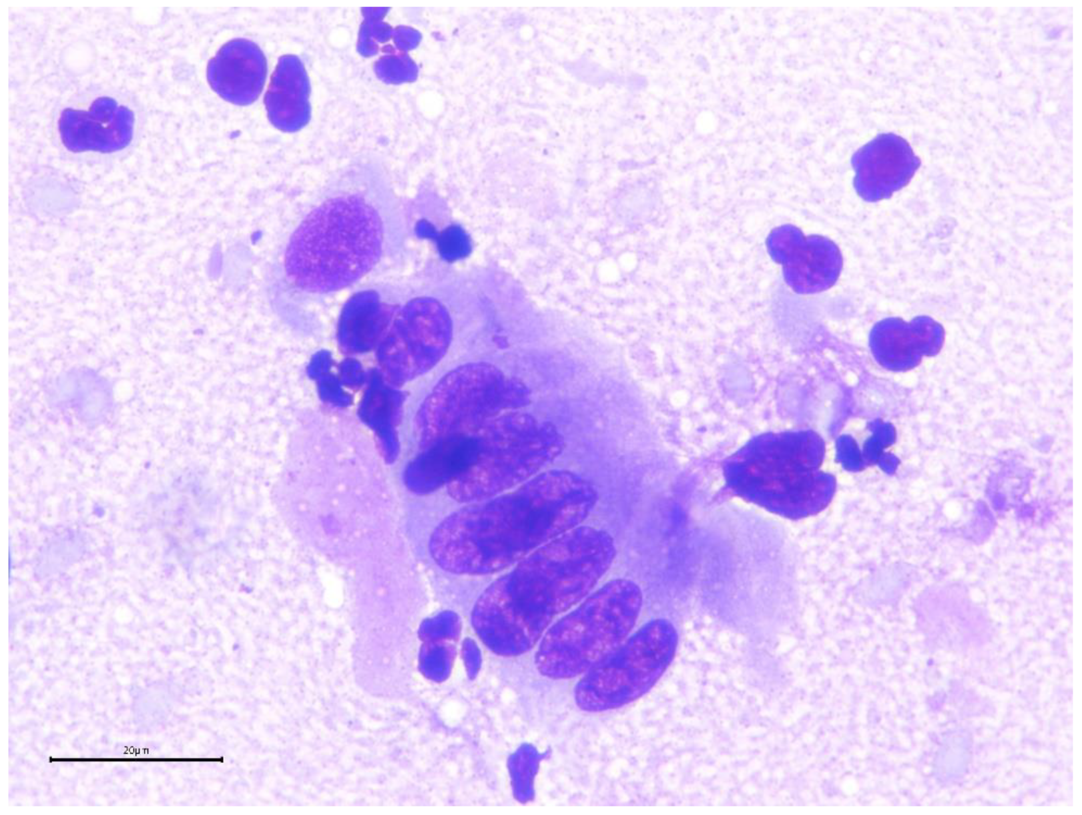 Preprints 173144 g009