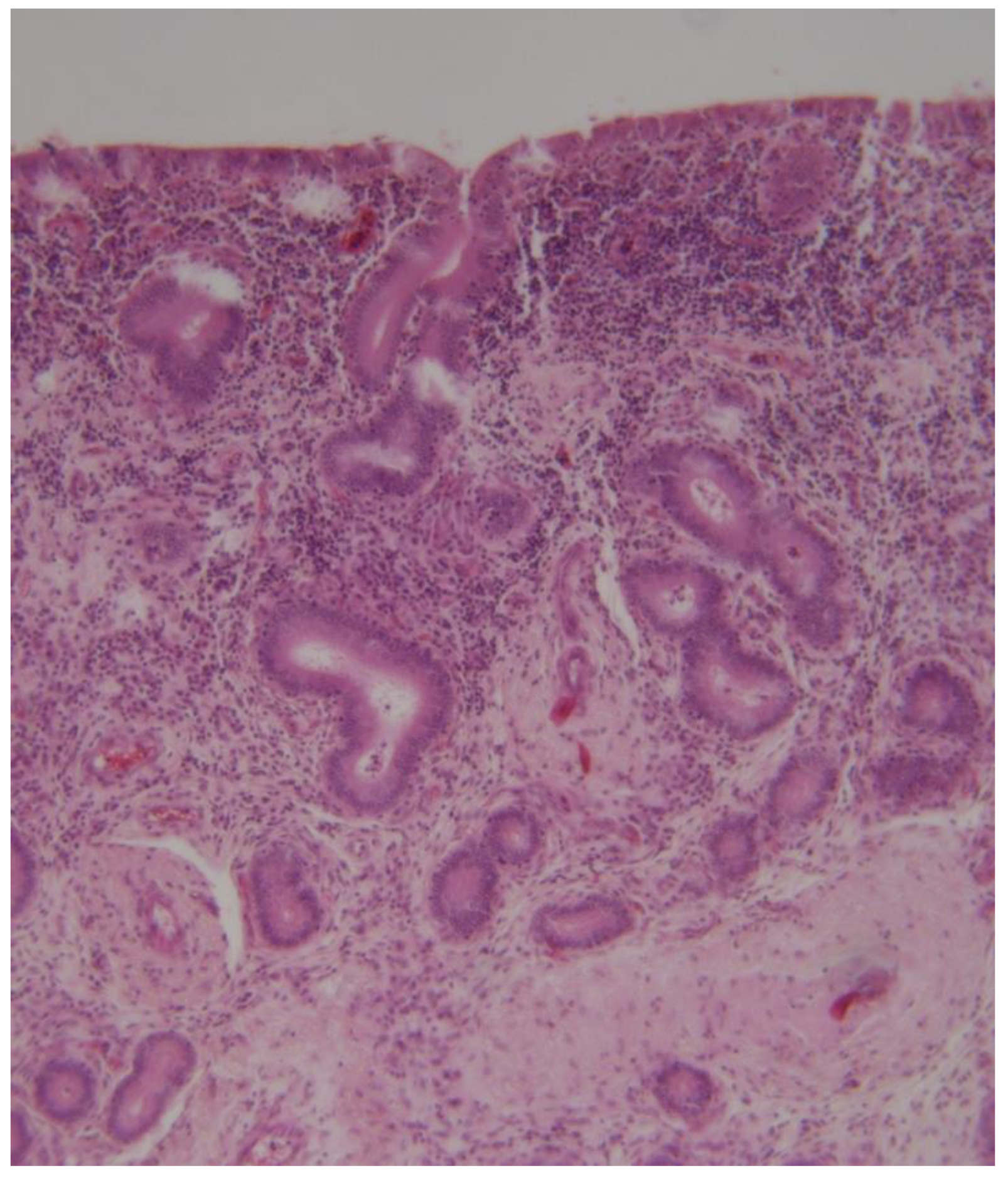 Preprints 173144 g010