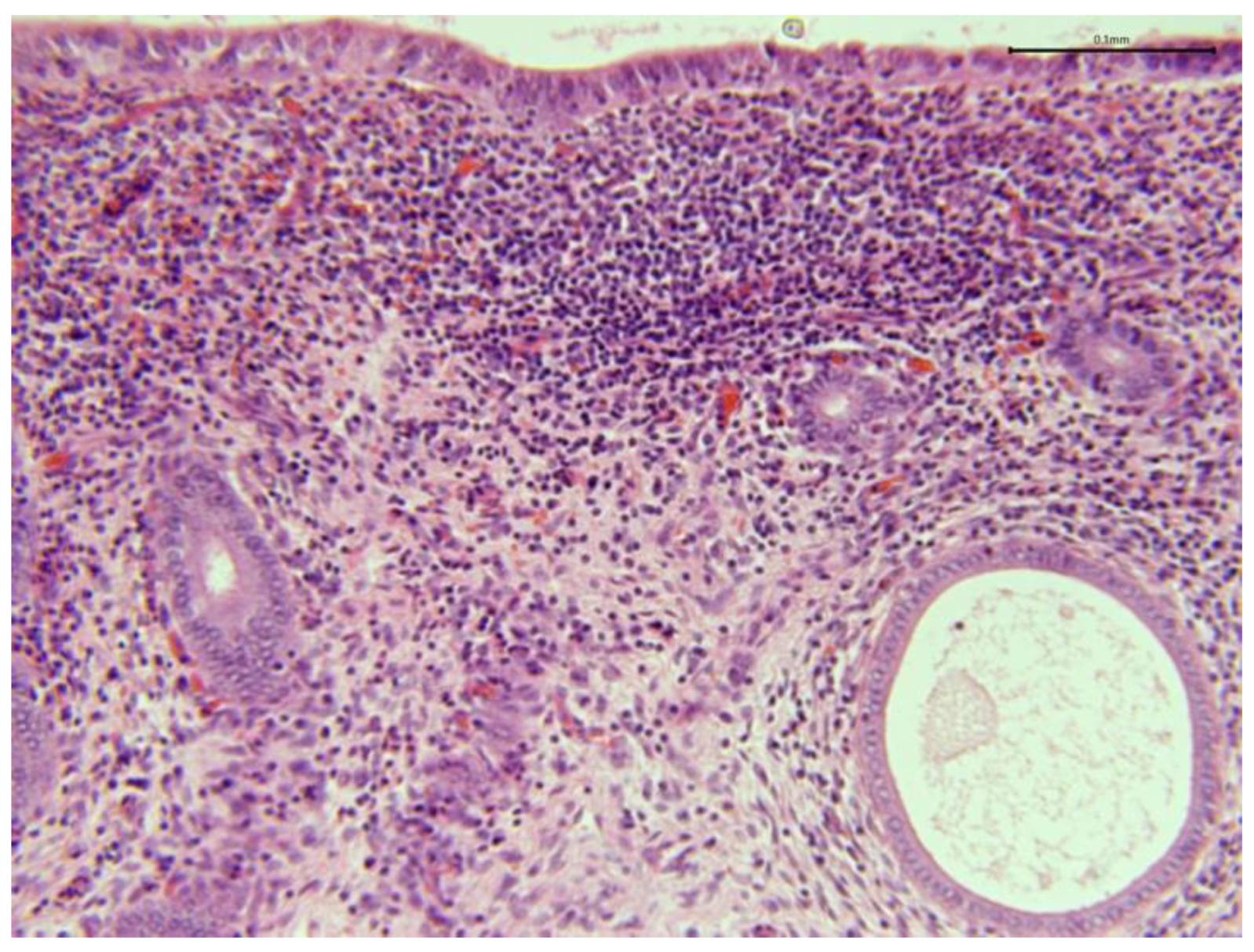 Preprints 173144 g011