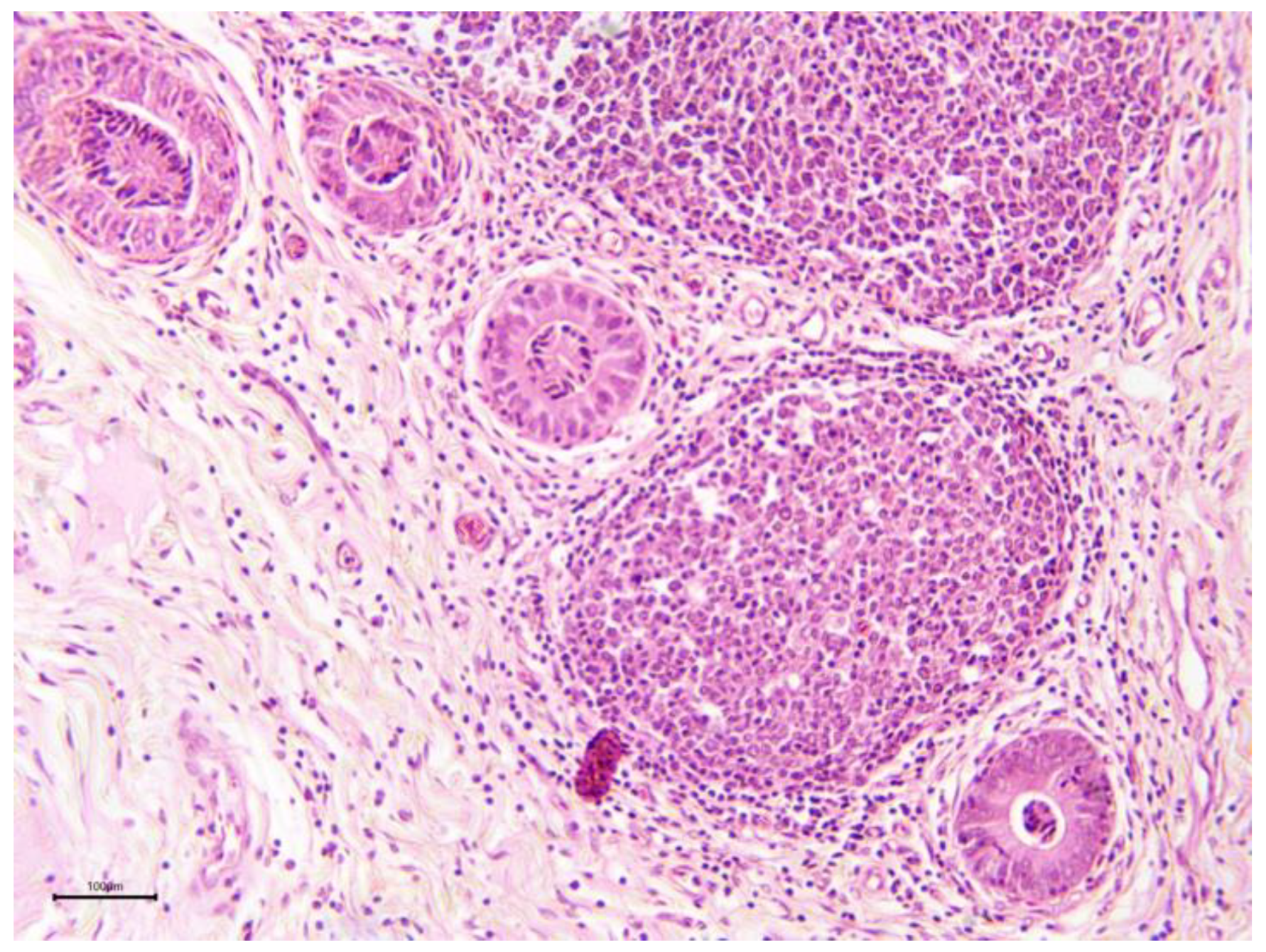 Preprints 173144 g012