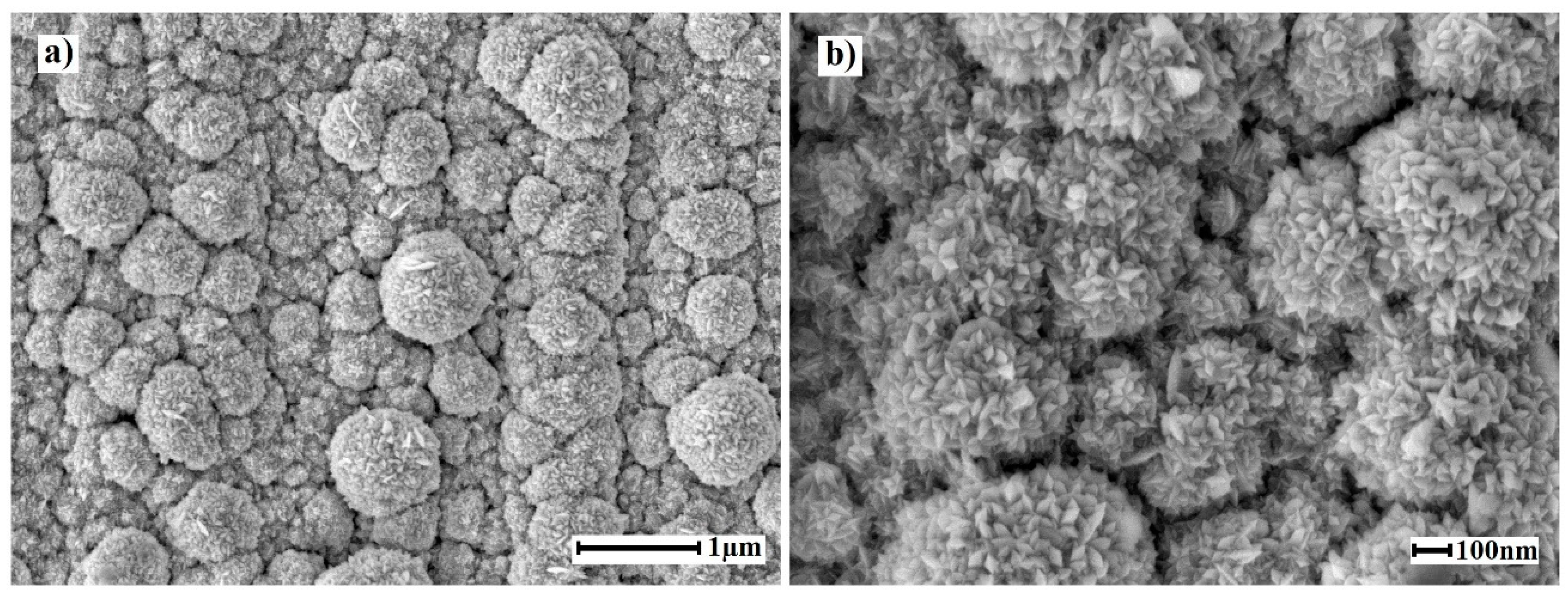 Preprints 77945 g004