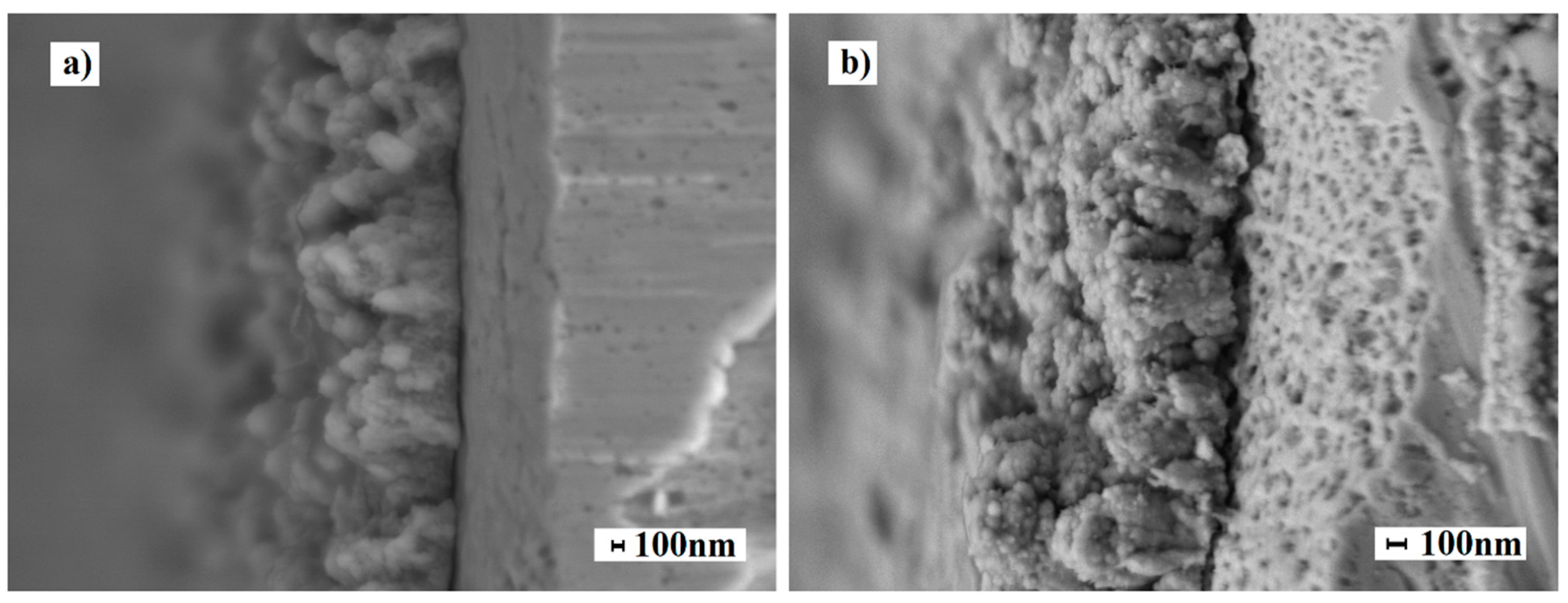 Preprints 77945 g005