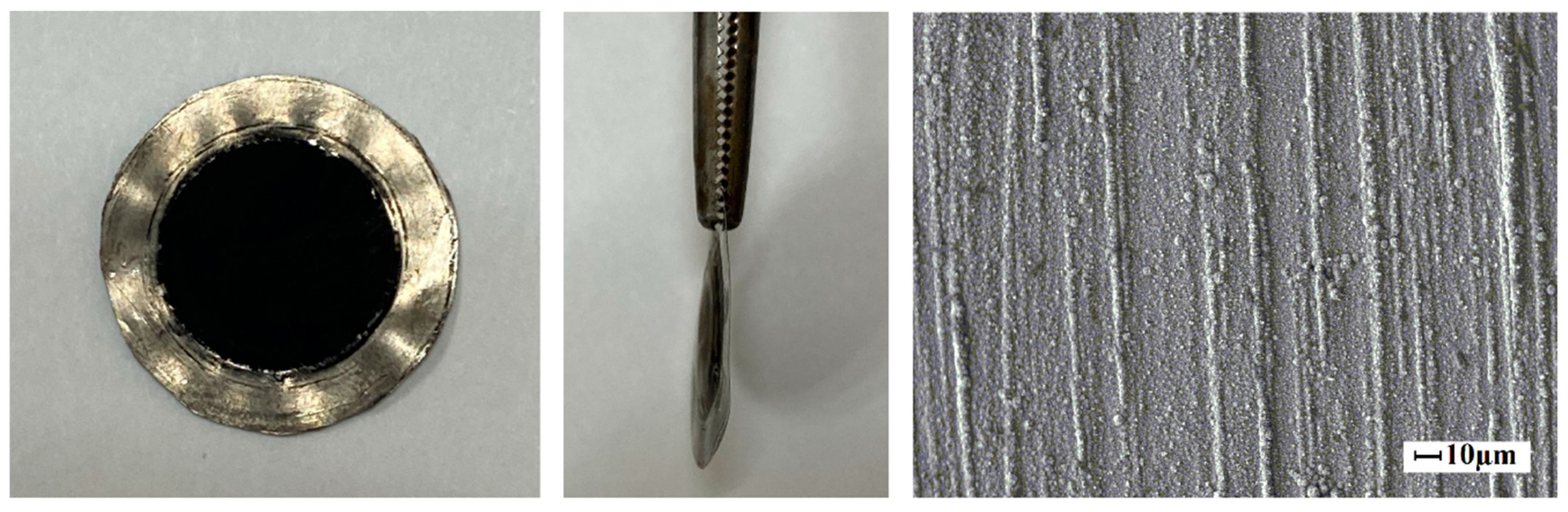 Preprints 77945 g009