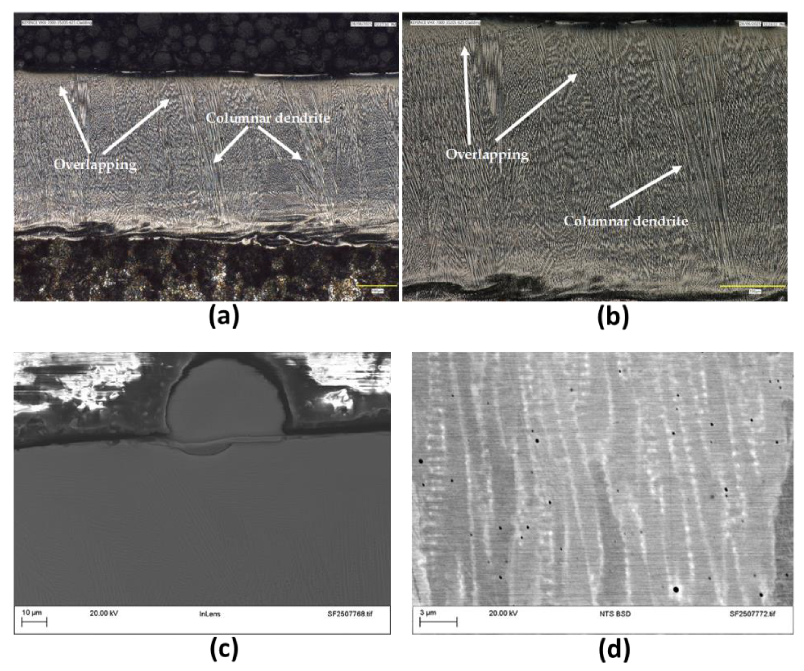 Preprints 182243 g002
