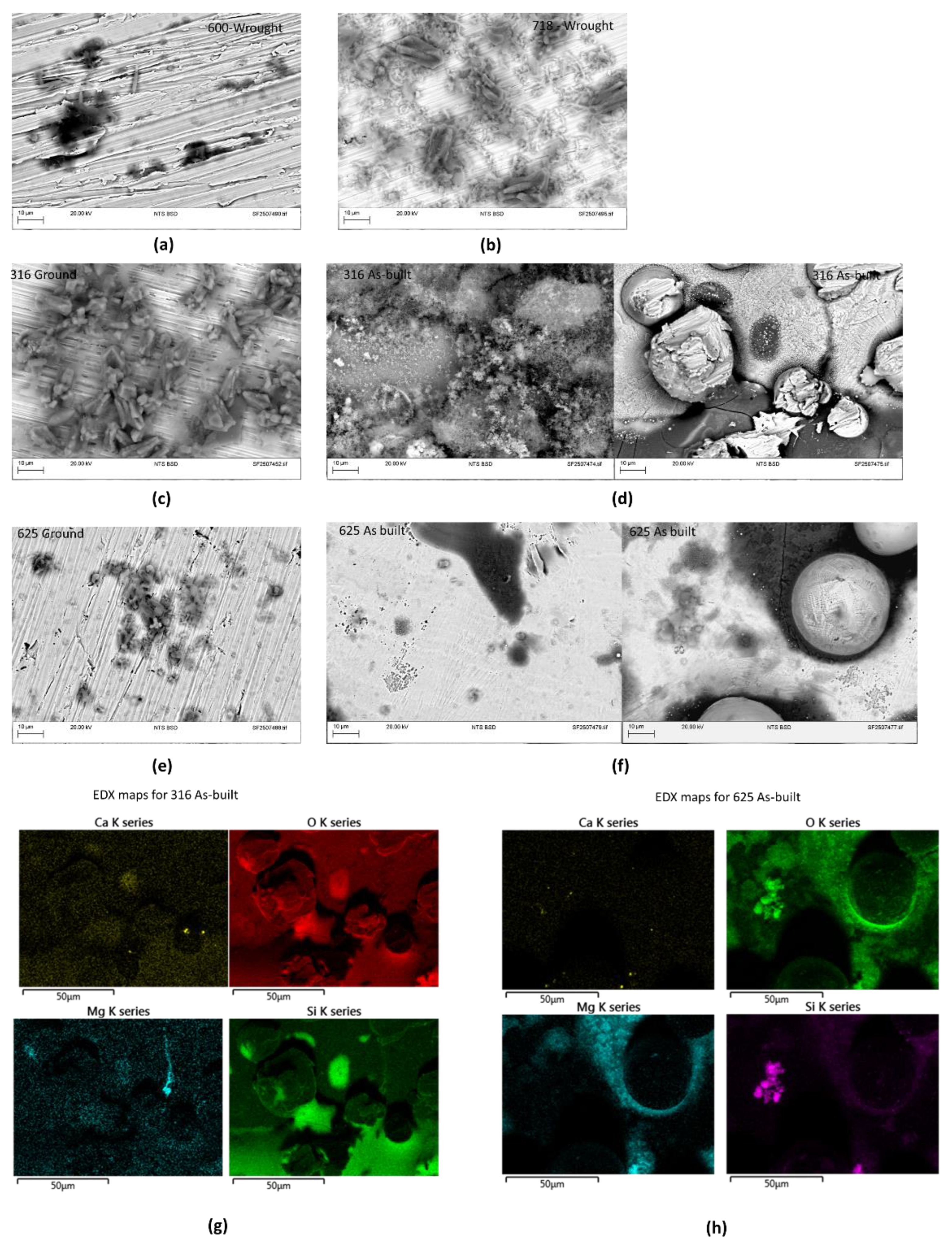 Preprints 182243 g005