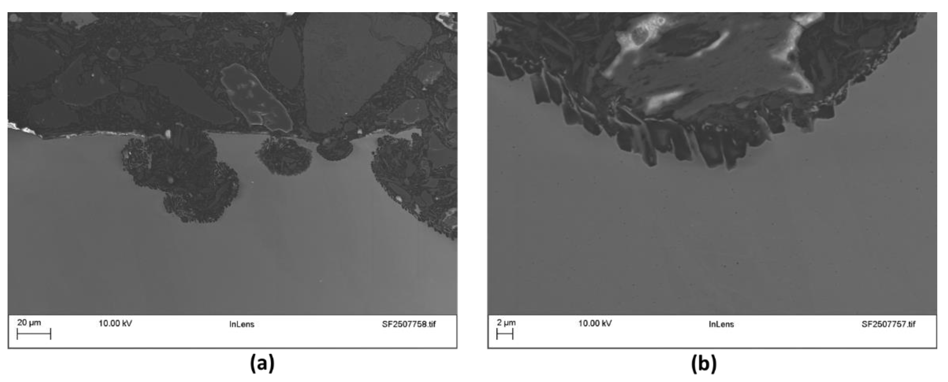 Preprints 182243 g007