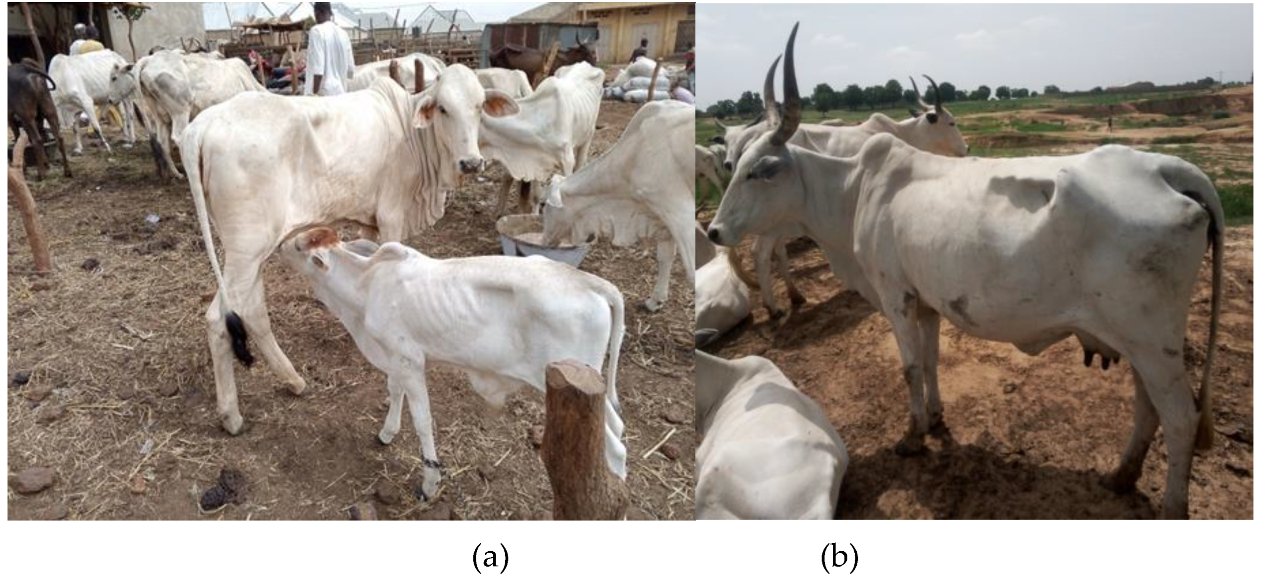 Preprints 143601 g001