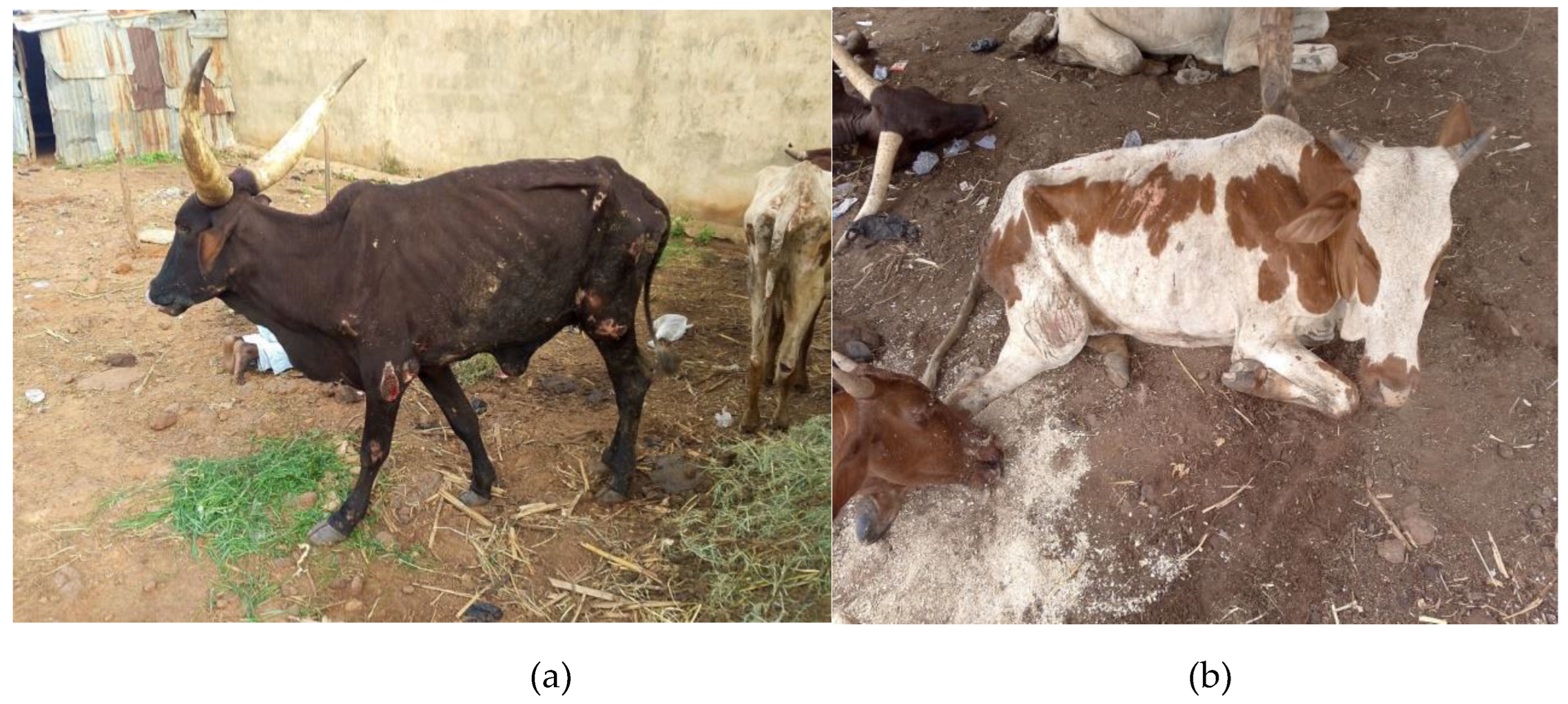 Preprints 143601 g002