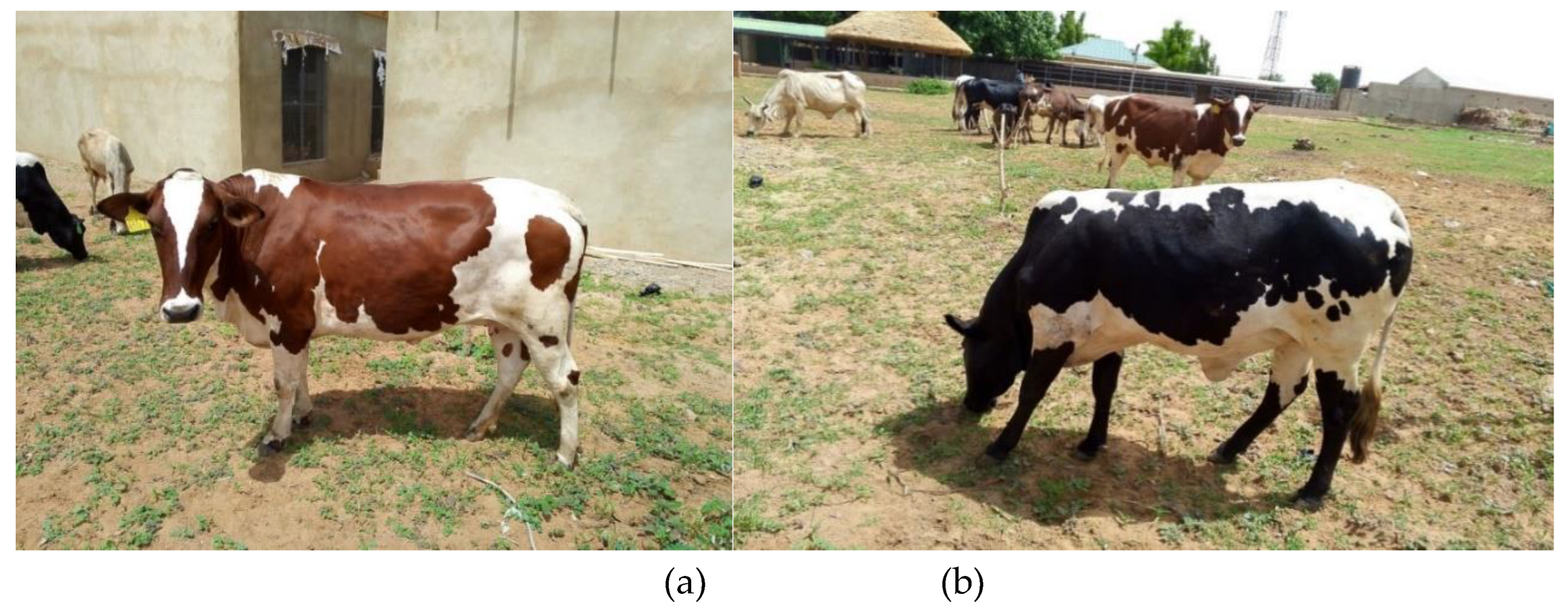 Preprints 143601 g003