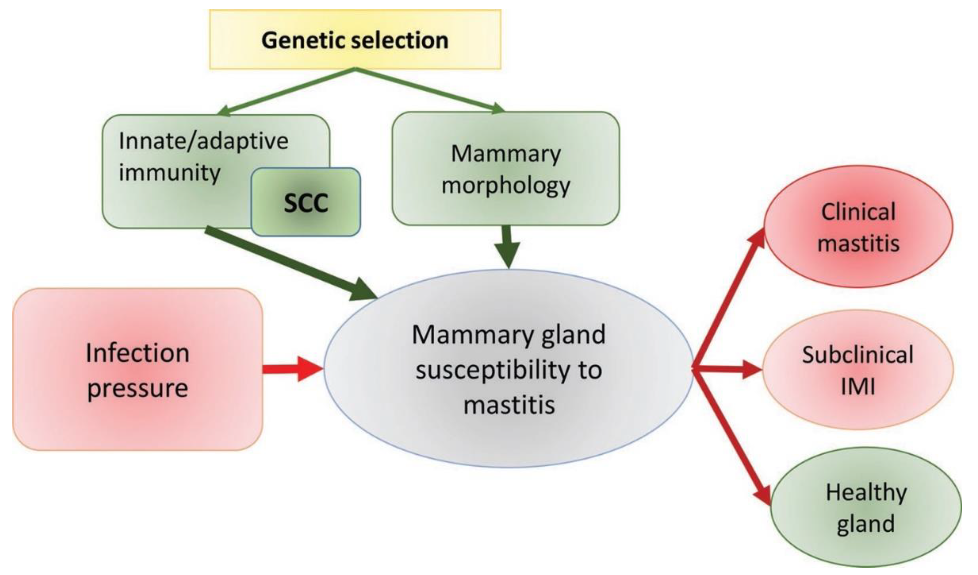 Preprints 143601 g011