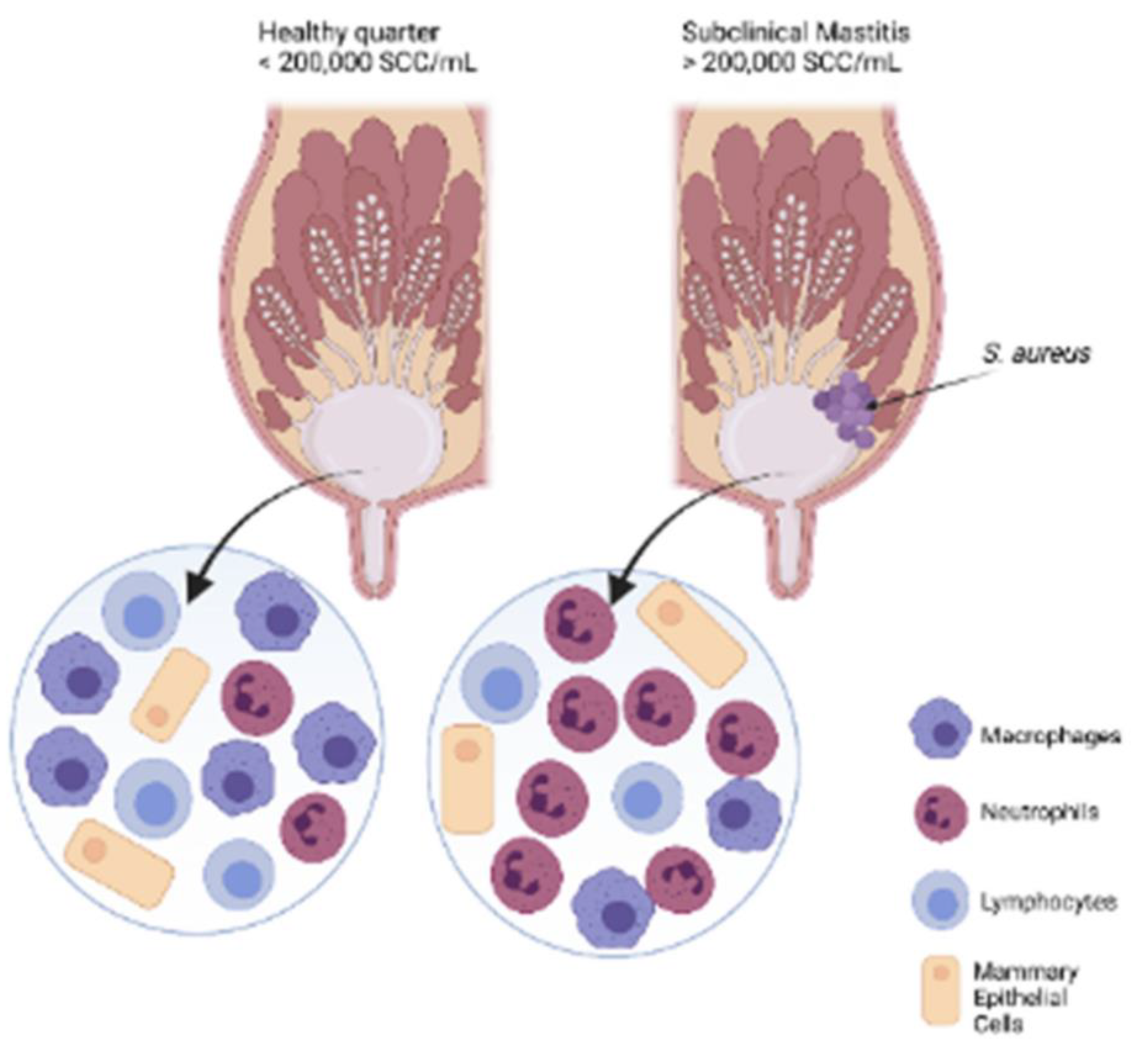 Preprints 143601 g012