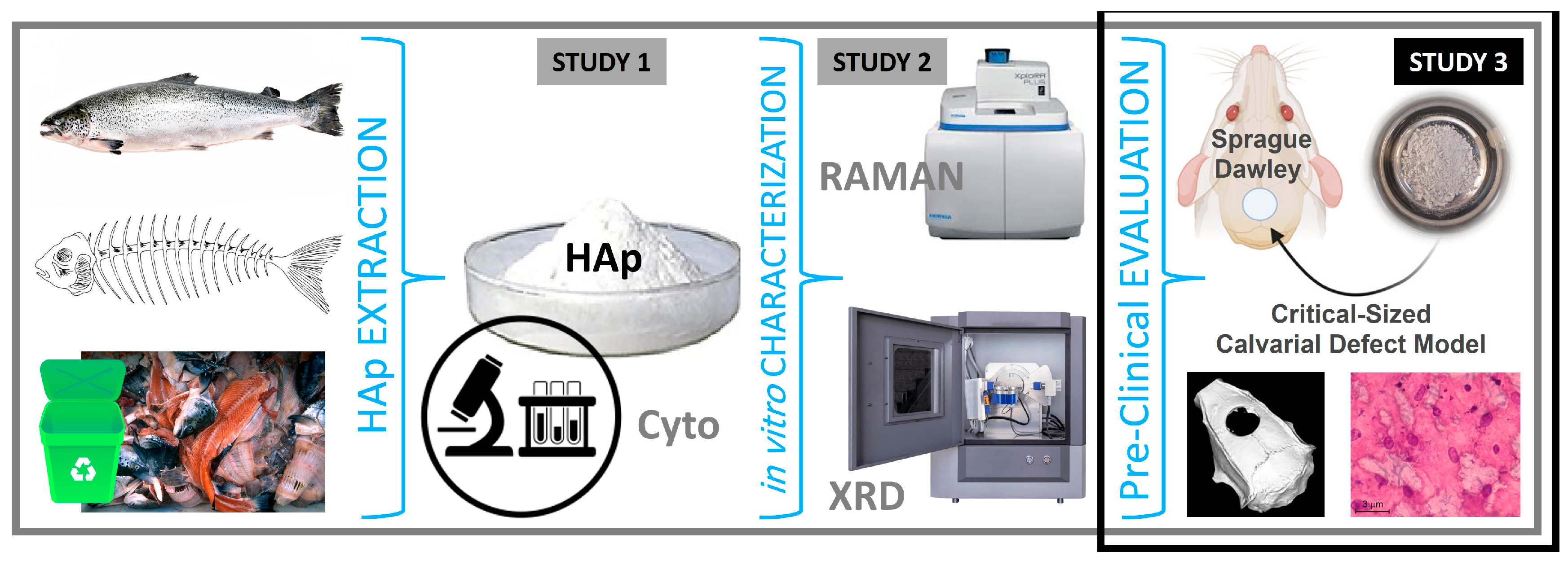 Preprints 173263 g001
