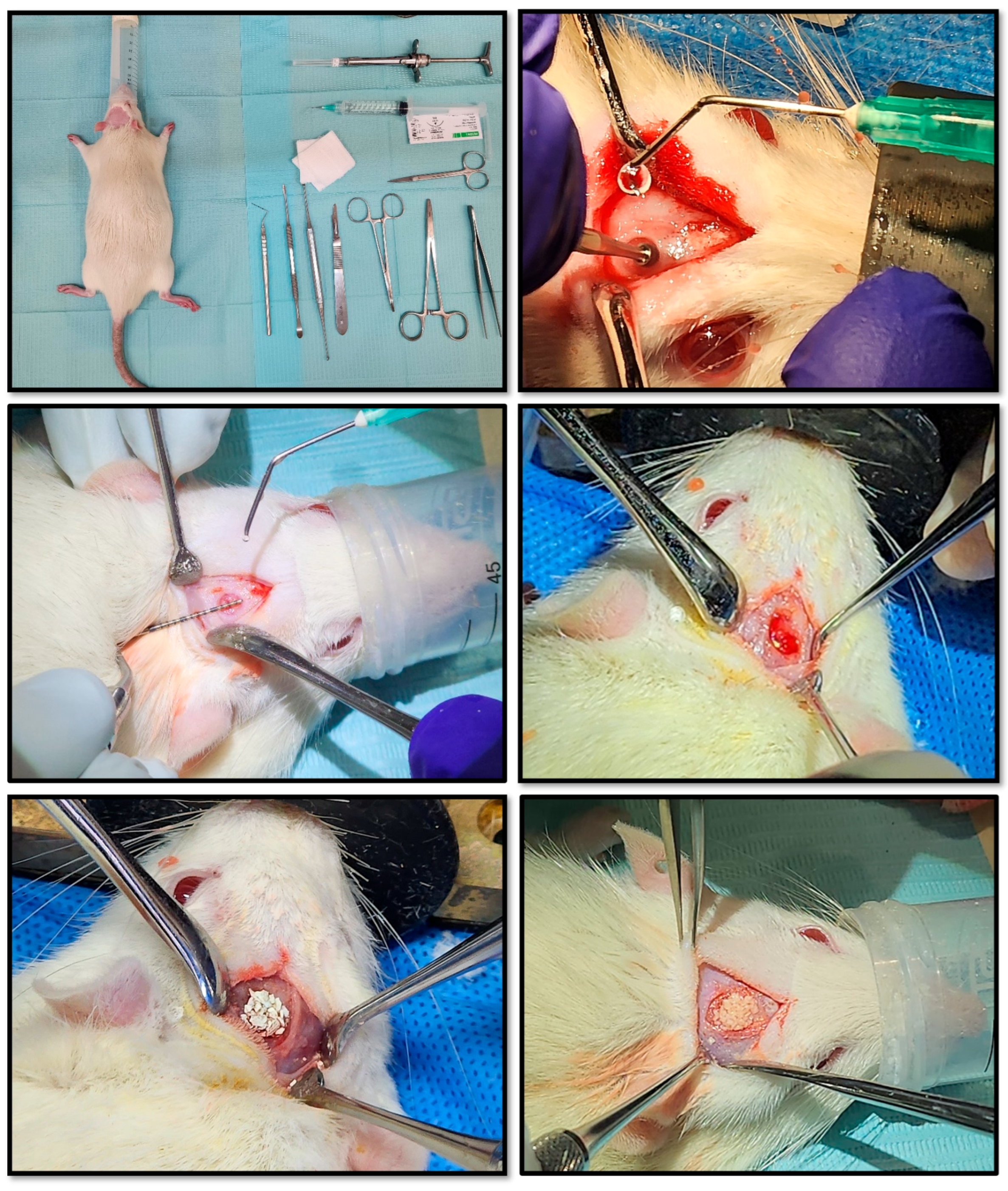 Preprints 173263 g002