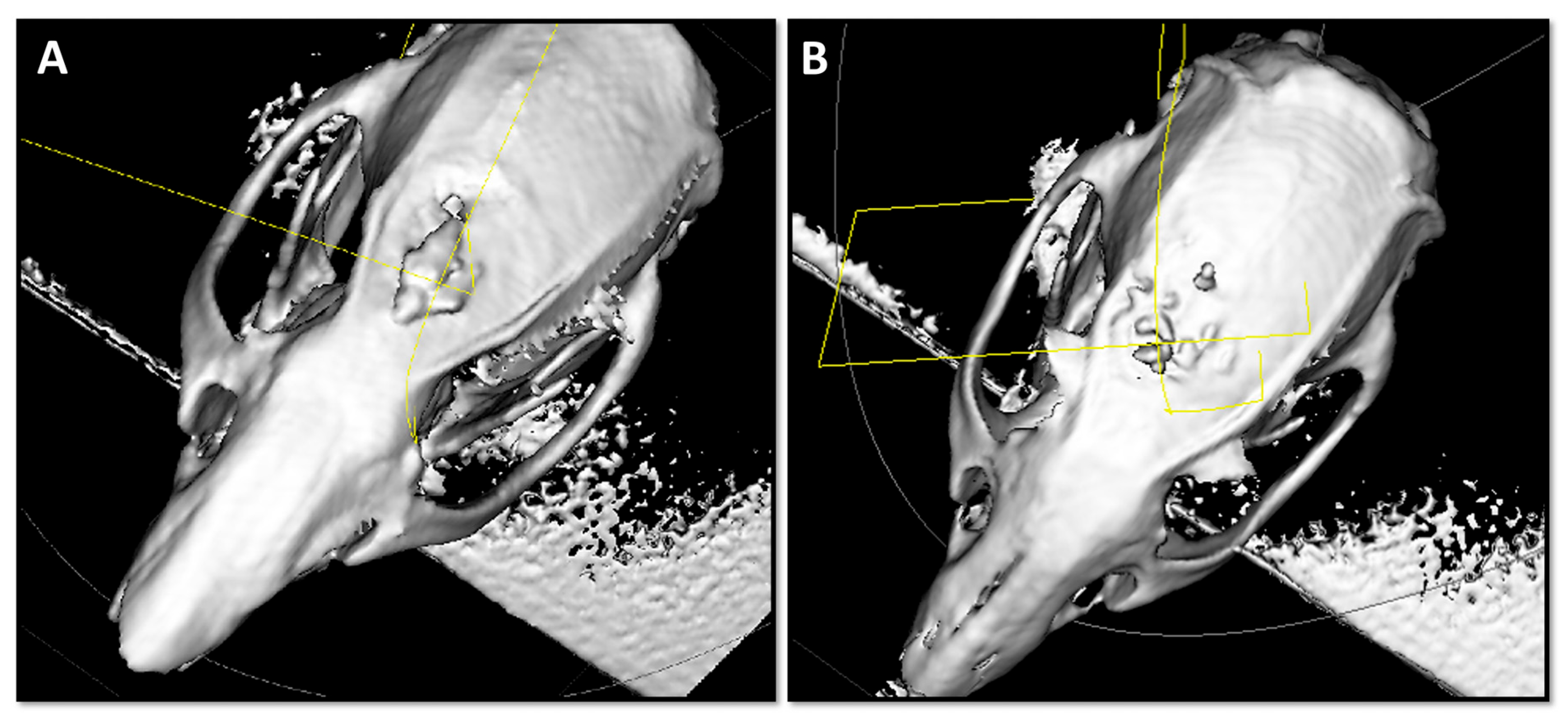 Preprints 173263 g003