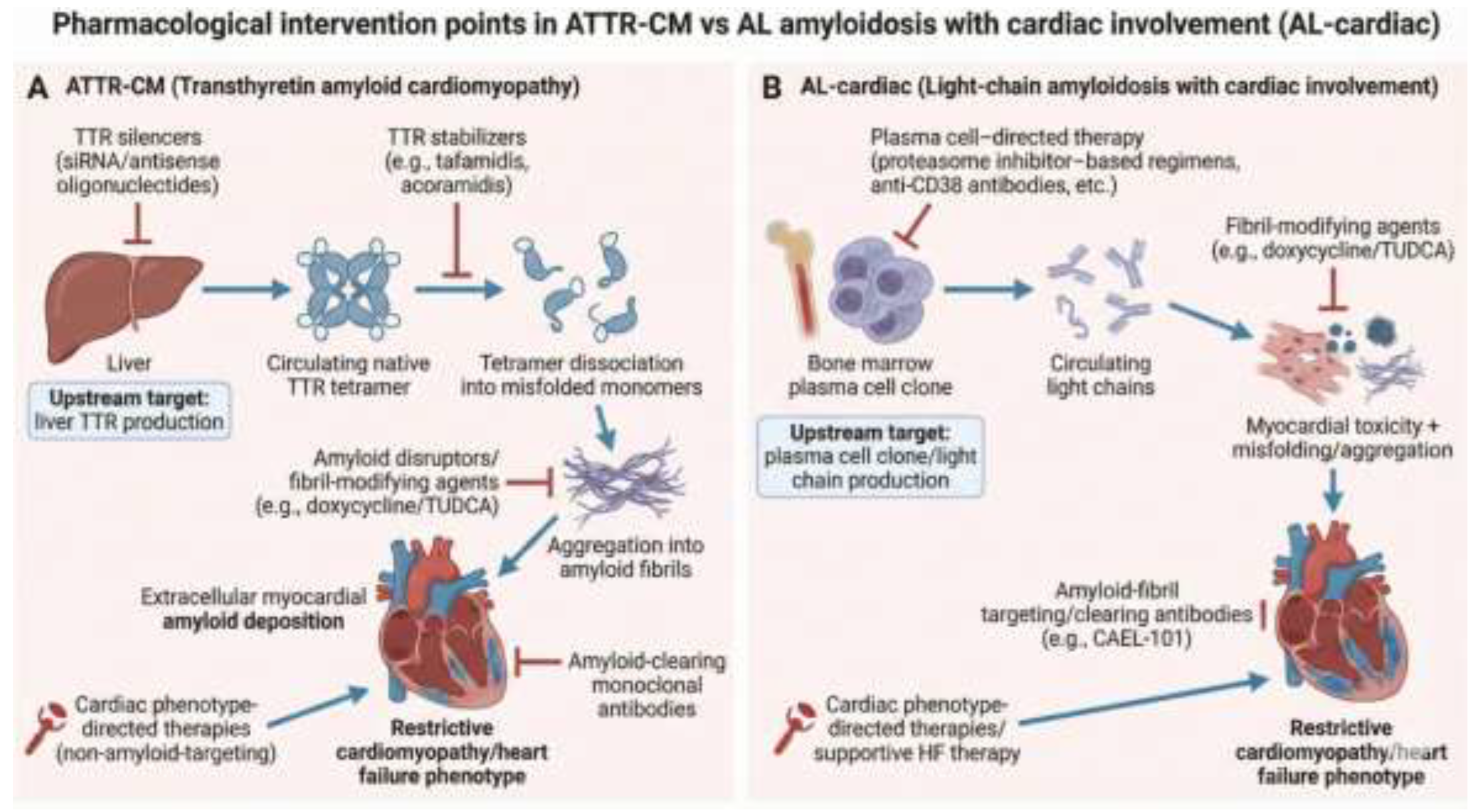 Preprints 194691 g002
