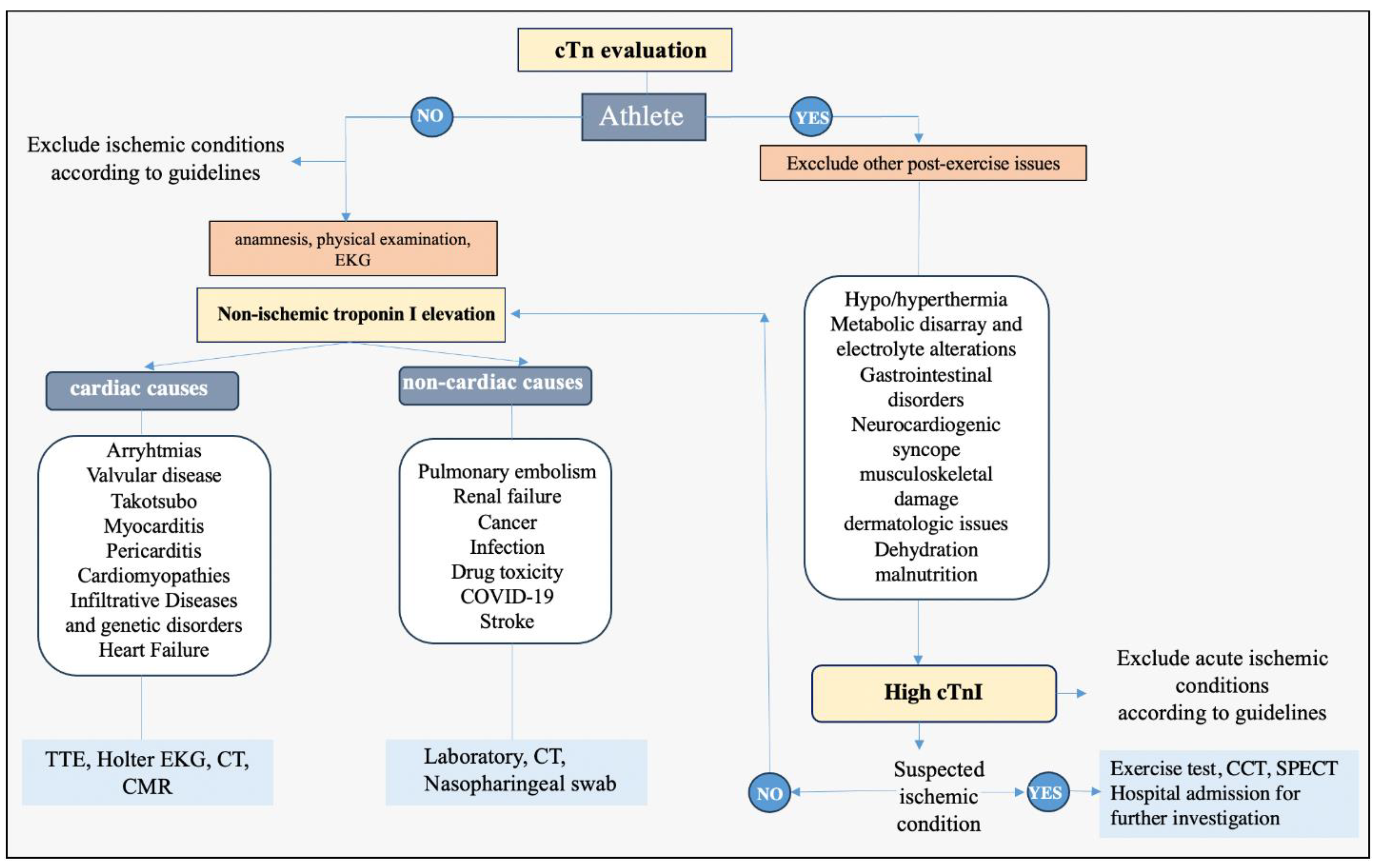 Preprints 140687 g002