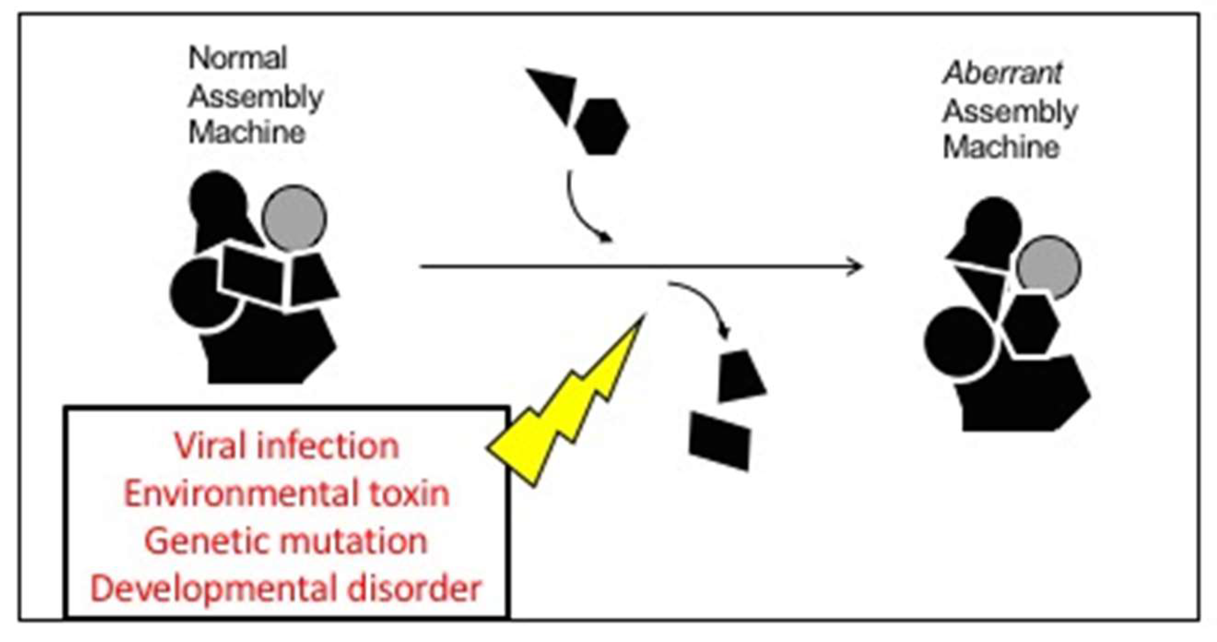 Preprints 159946 g002