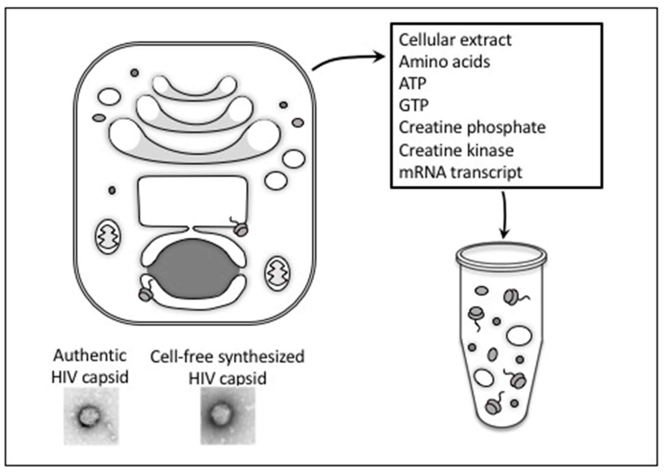 Preprints 159946 g003