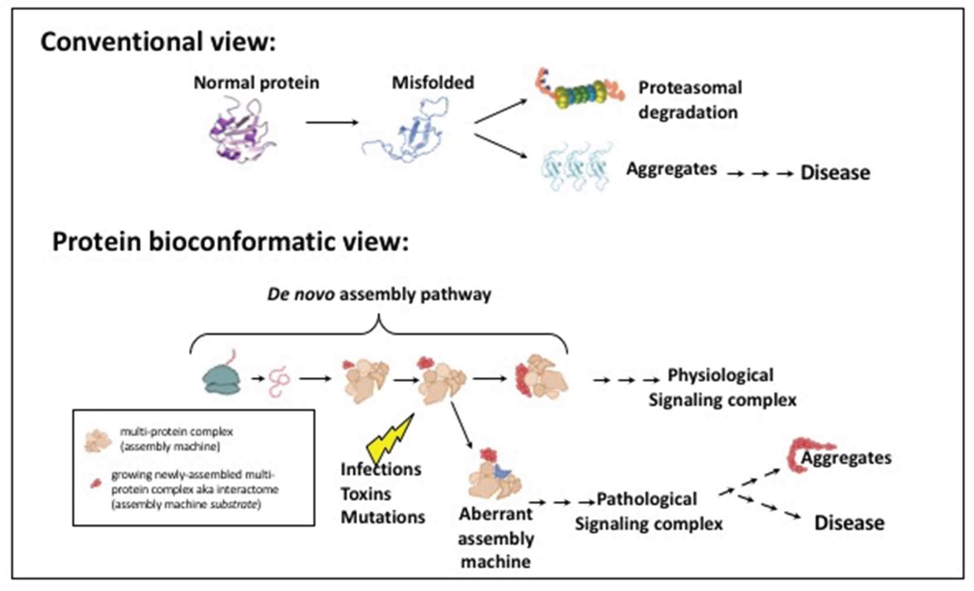 Preprints 159946 g005