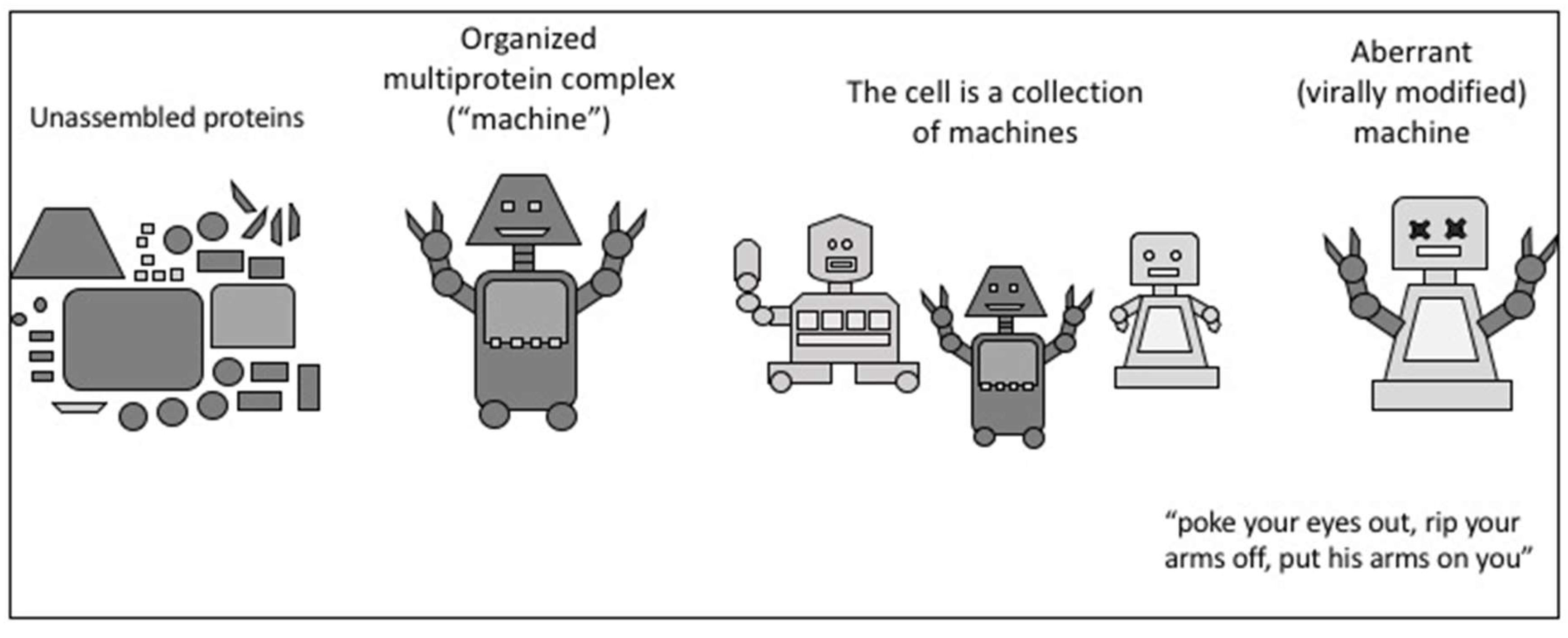 Preprints 159946 g006