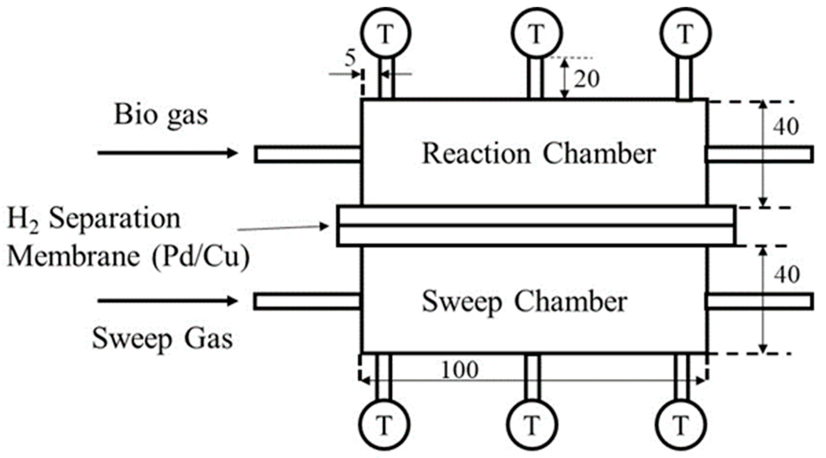 Preprints 141651 g002