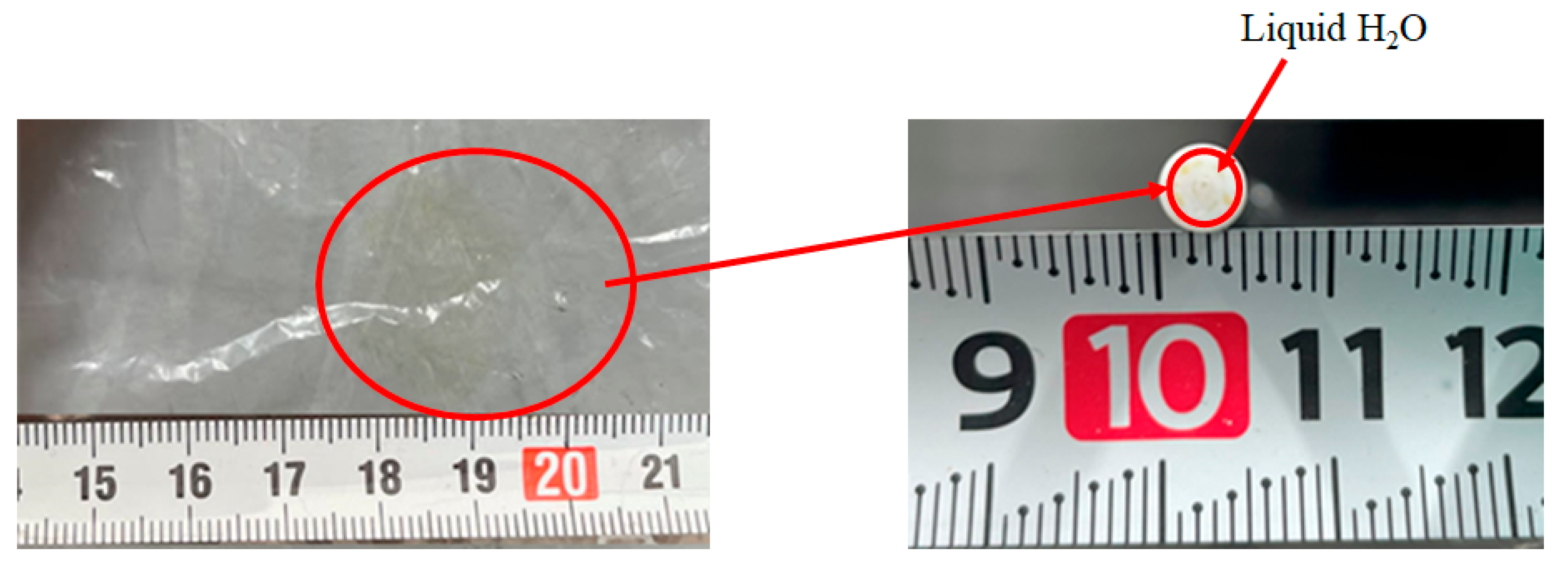 Preprints 141651 g012