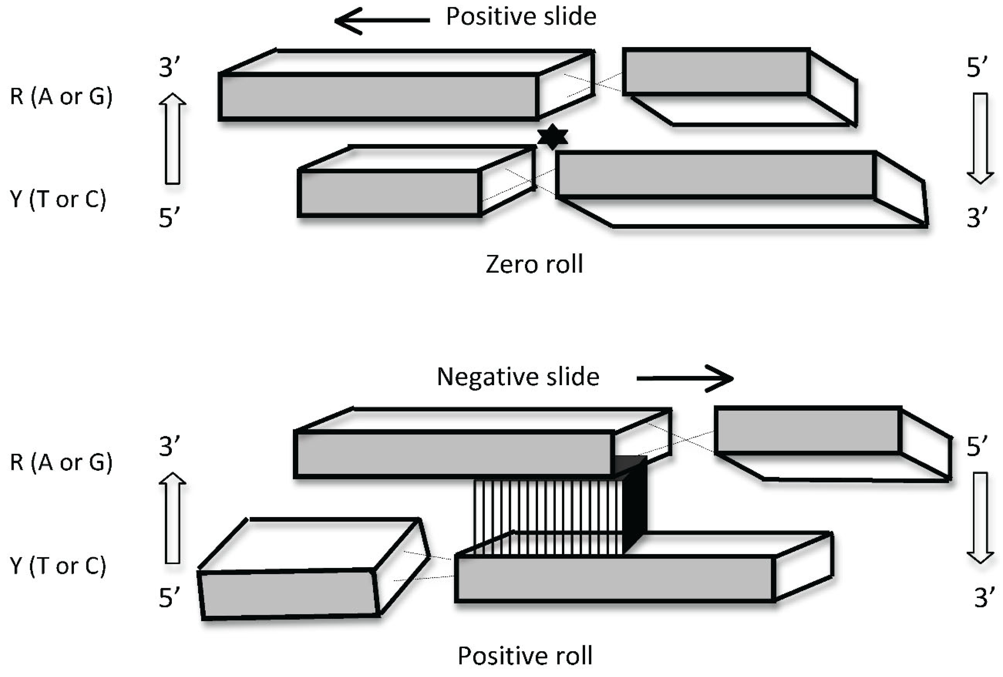 Preprints 121183 g003