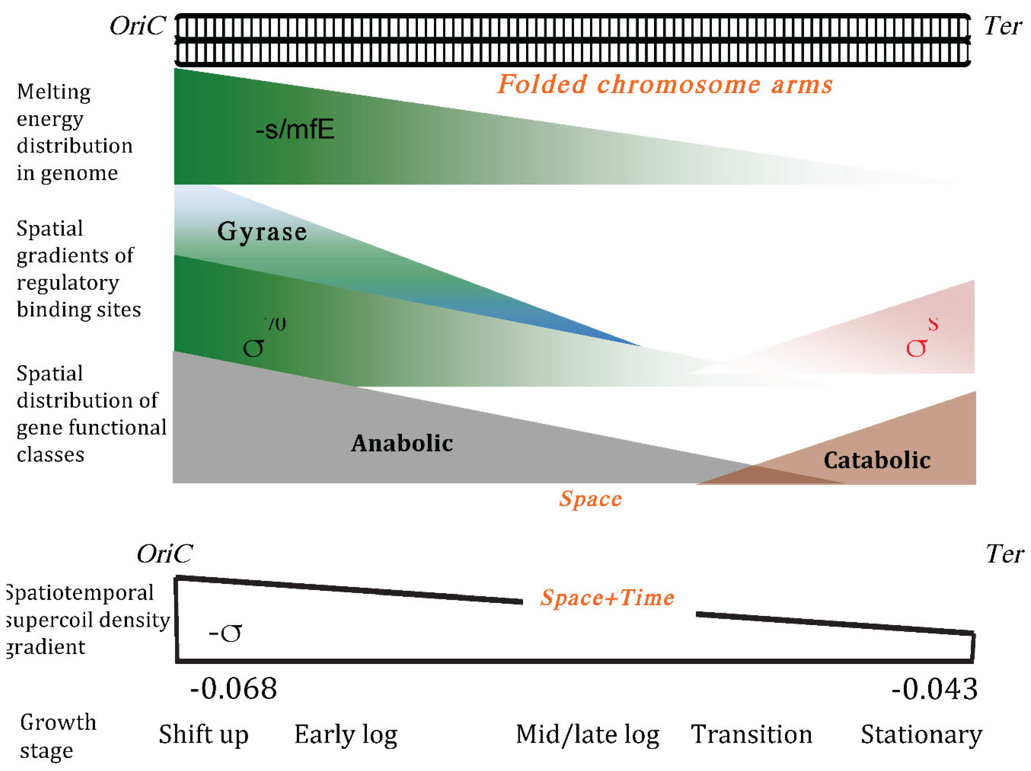 Preprints 121183 g004