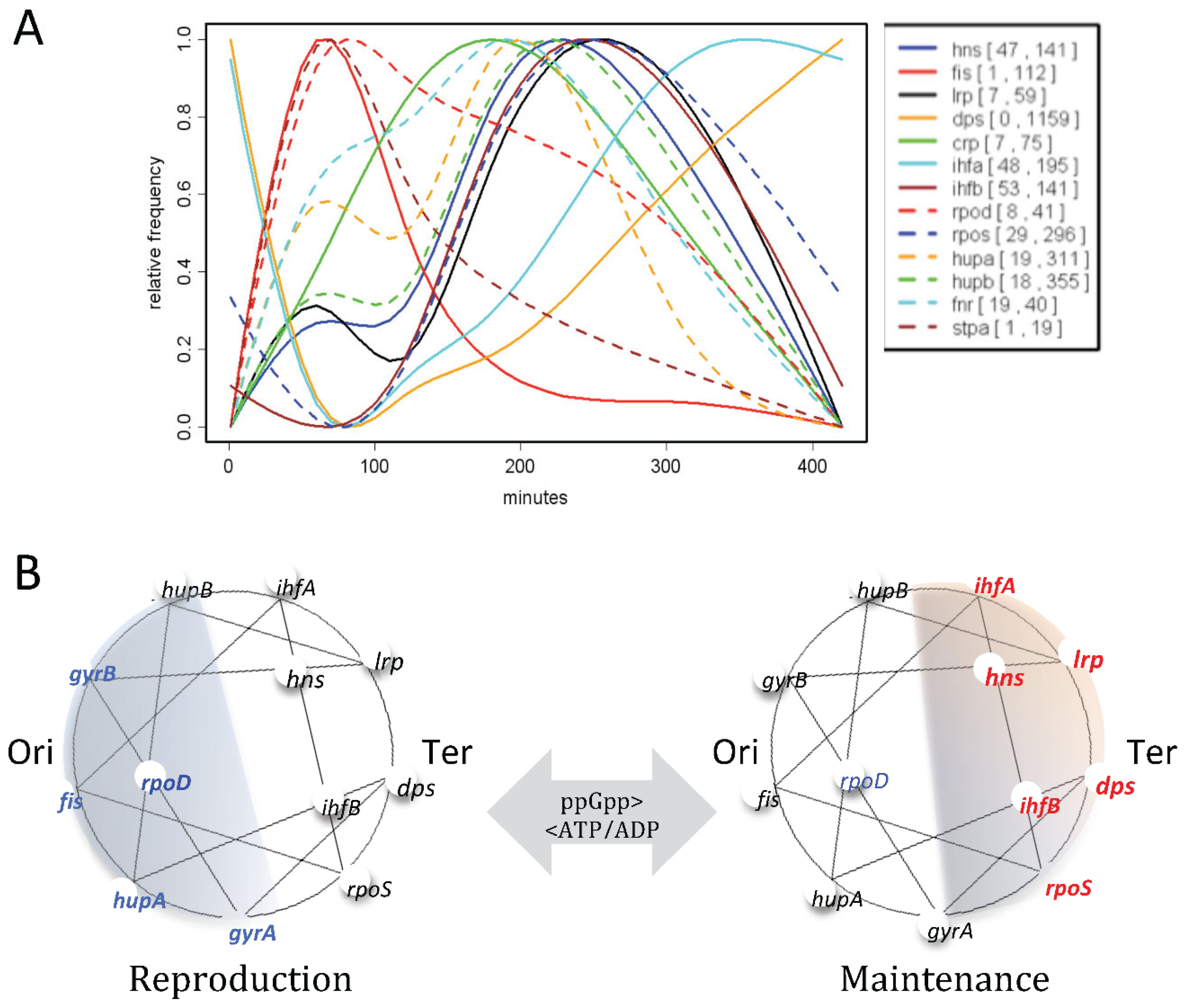 Preprints 121183 g005