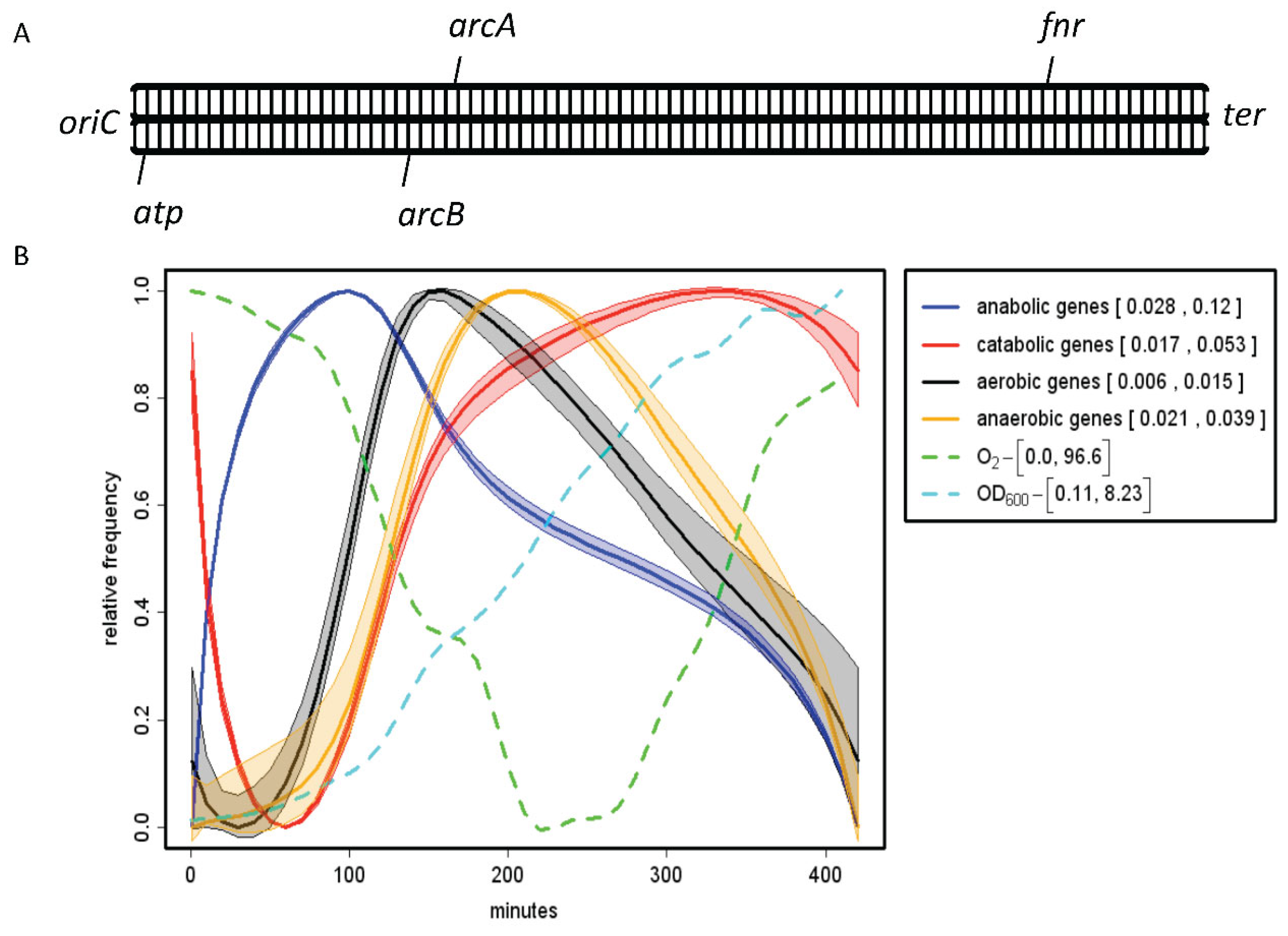 Preprints 121183 g006
