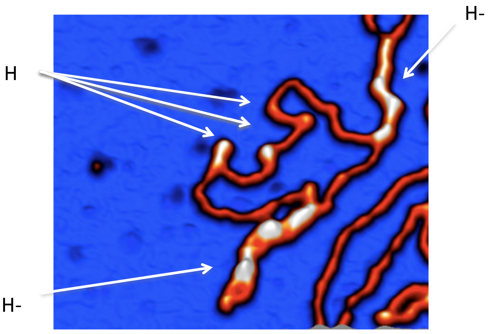 Preprints 121183 g007