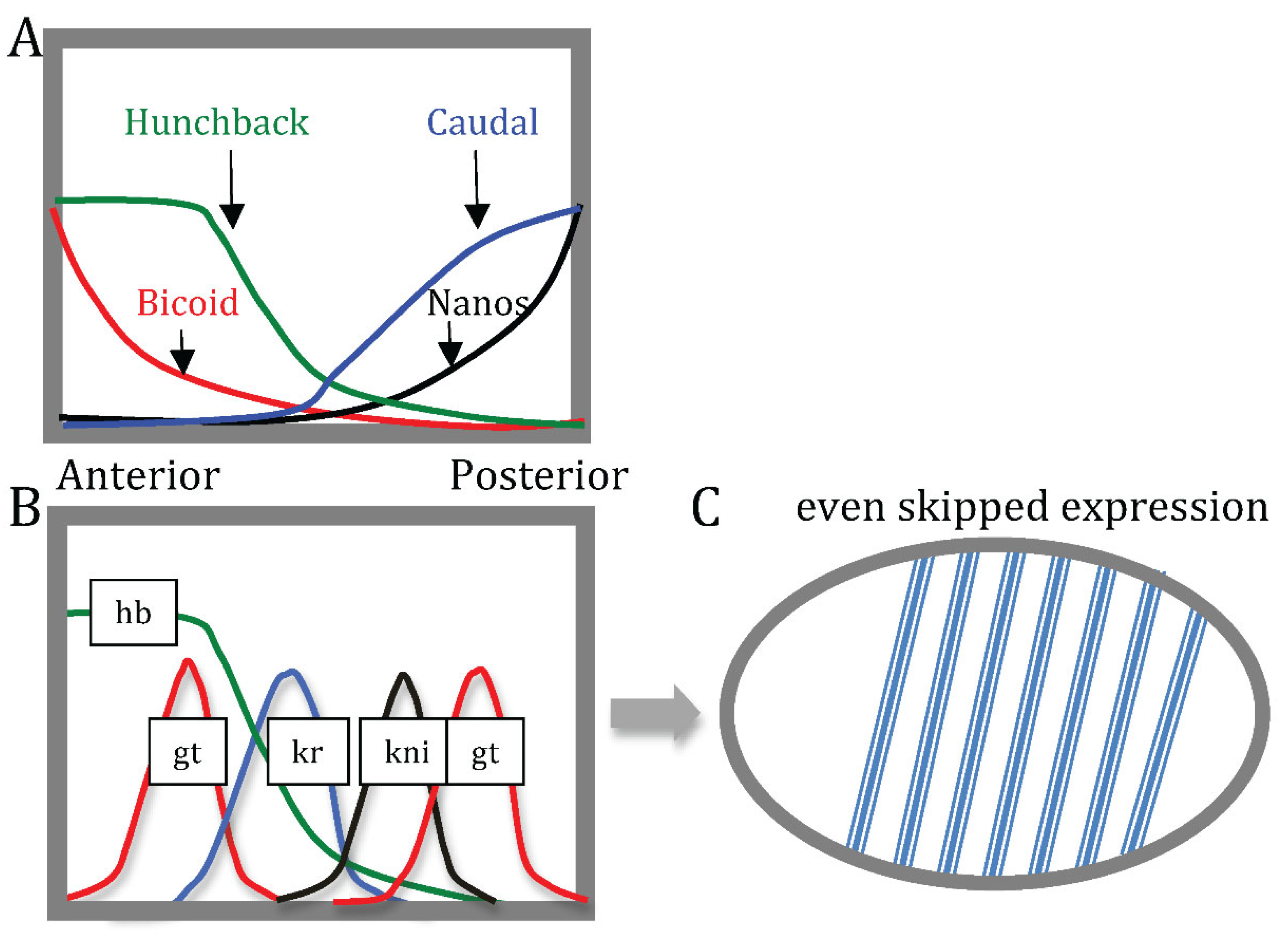Preprints 121183 g009