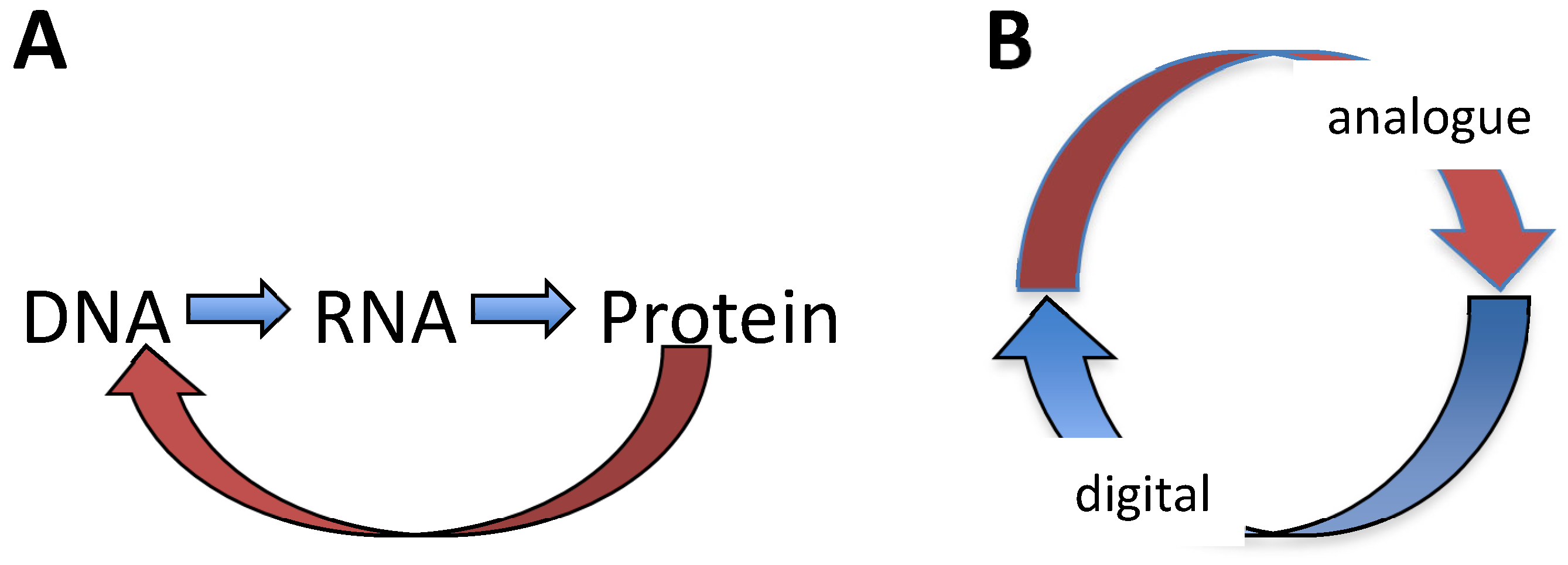 Preprints 121183 g010