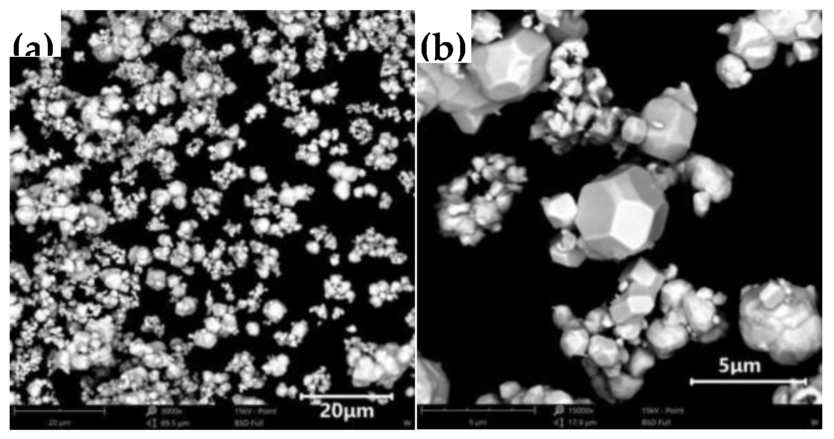 Preprints 80890 g001