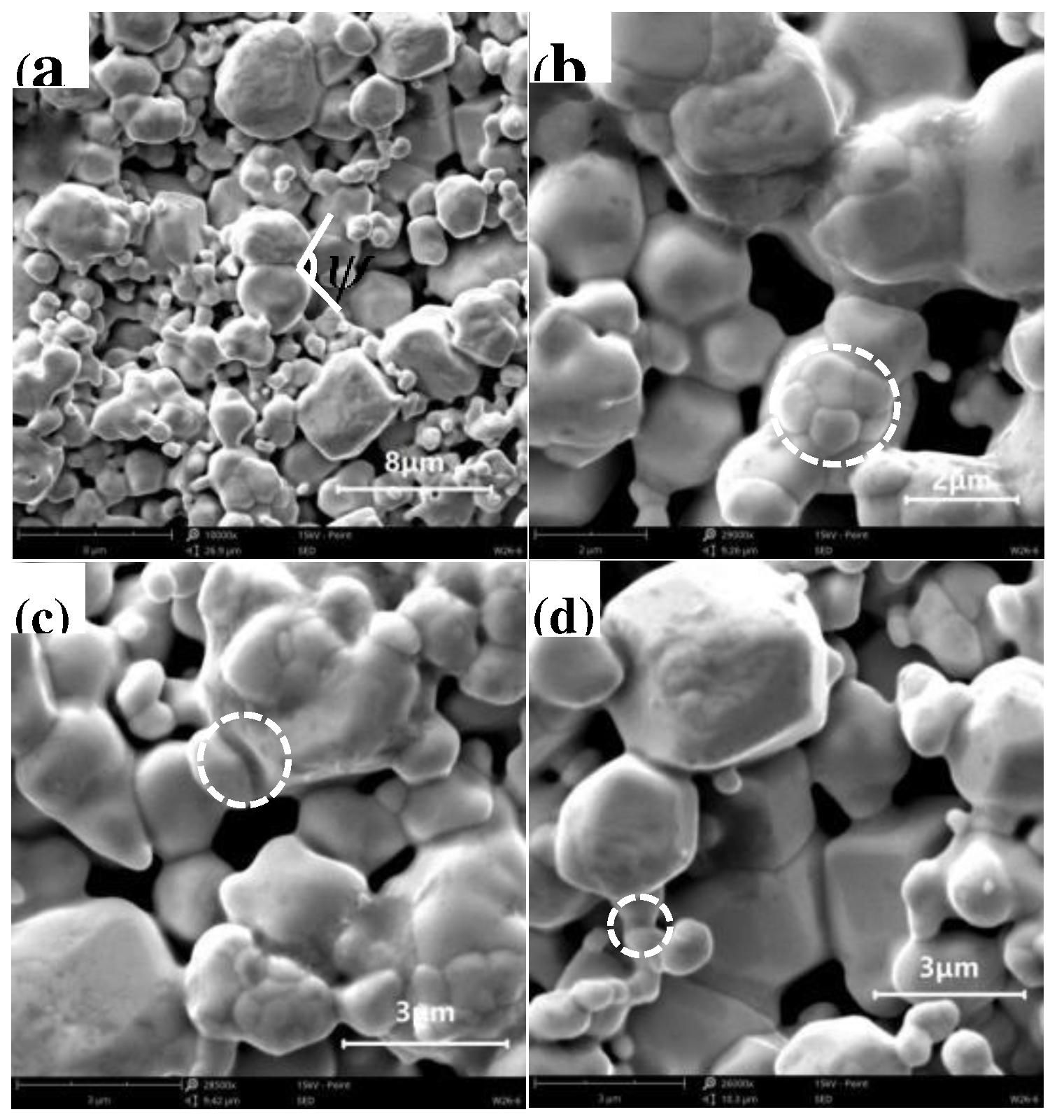 Preprints 80890 g007