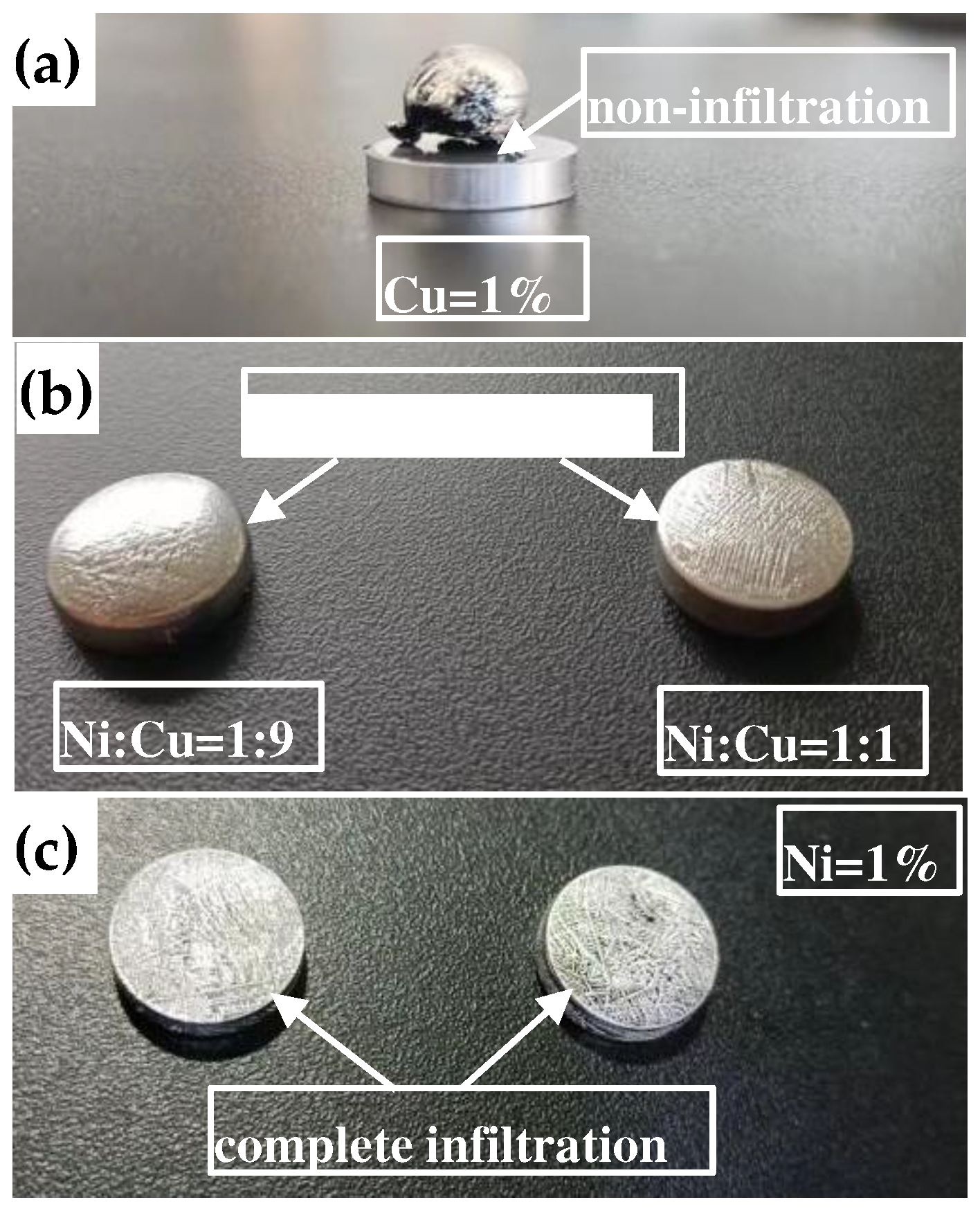 Preprints 80890 g008