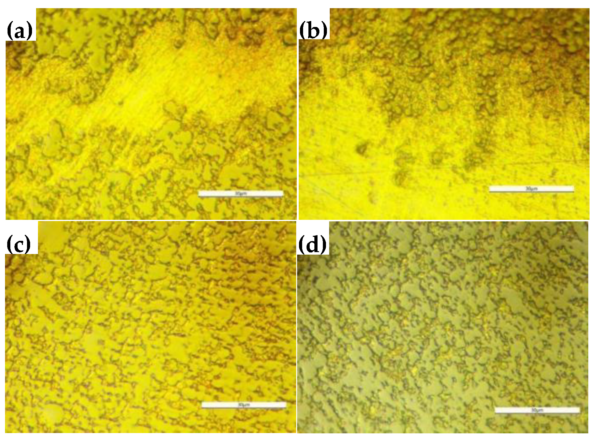 Preprints 80890 g009