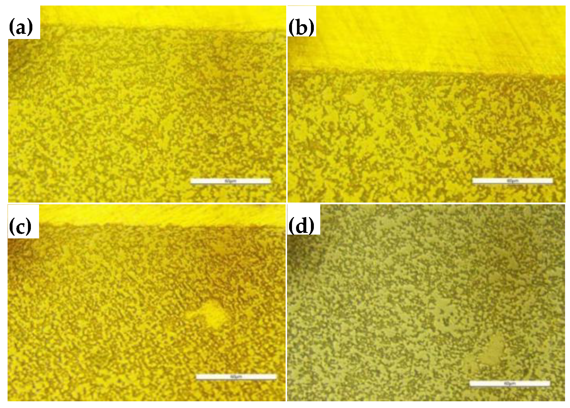 Preprints 80890 g010