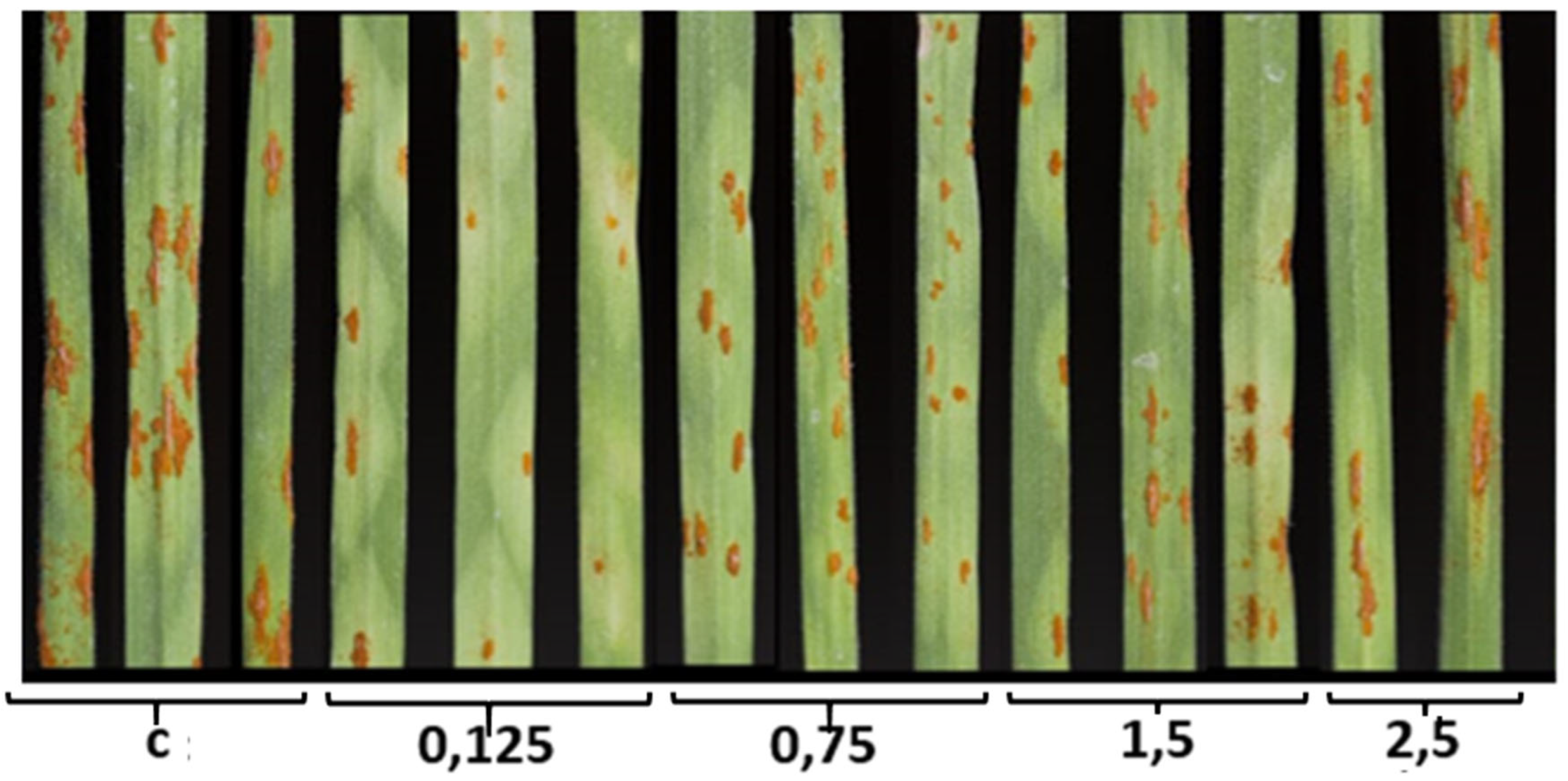 Preprints 139302 g001