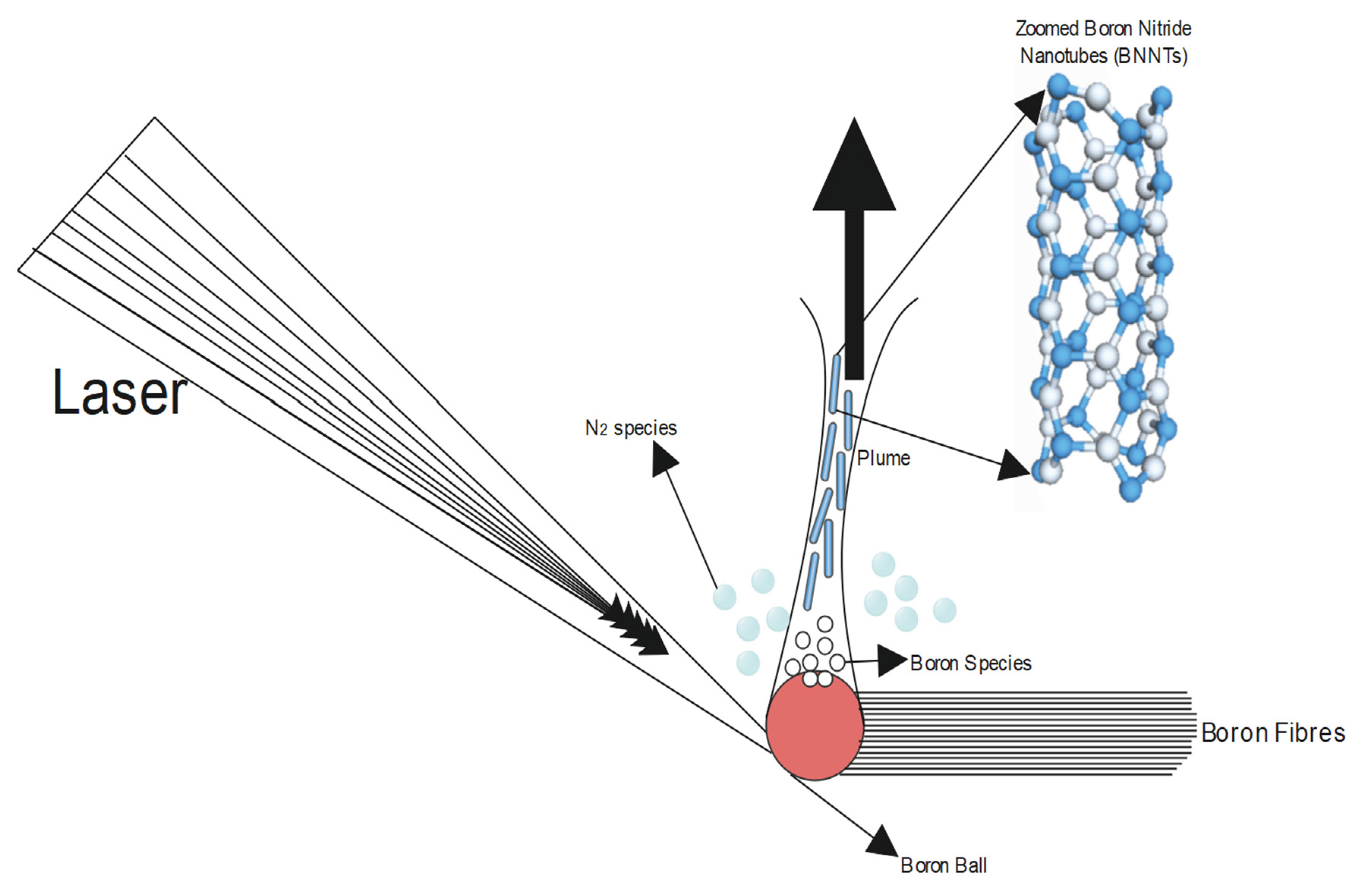 Preprints 162834 g011