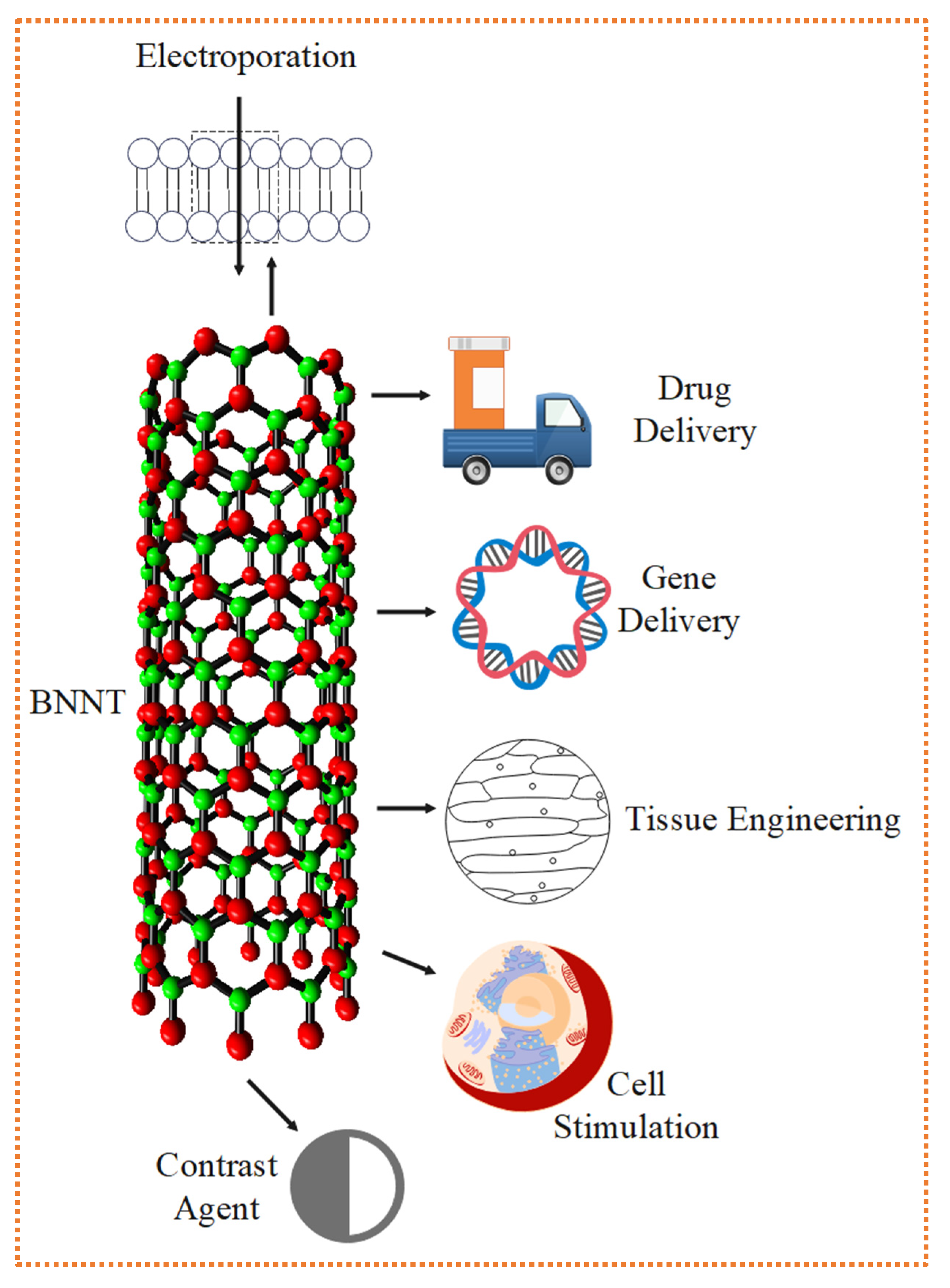 Preprints 162834 g017