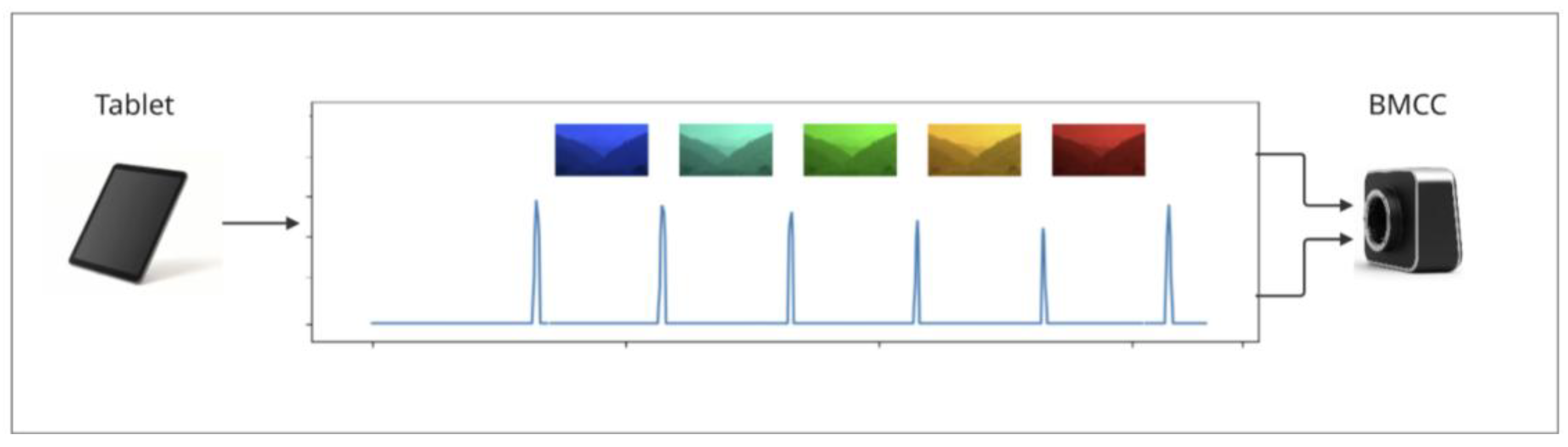 Preprints 201917 g005
