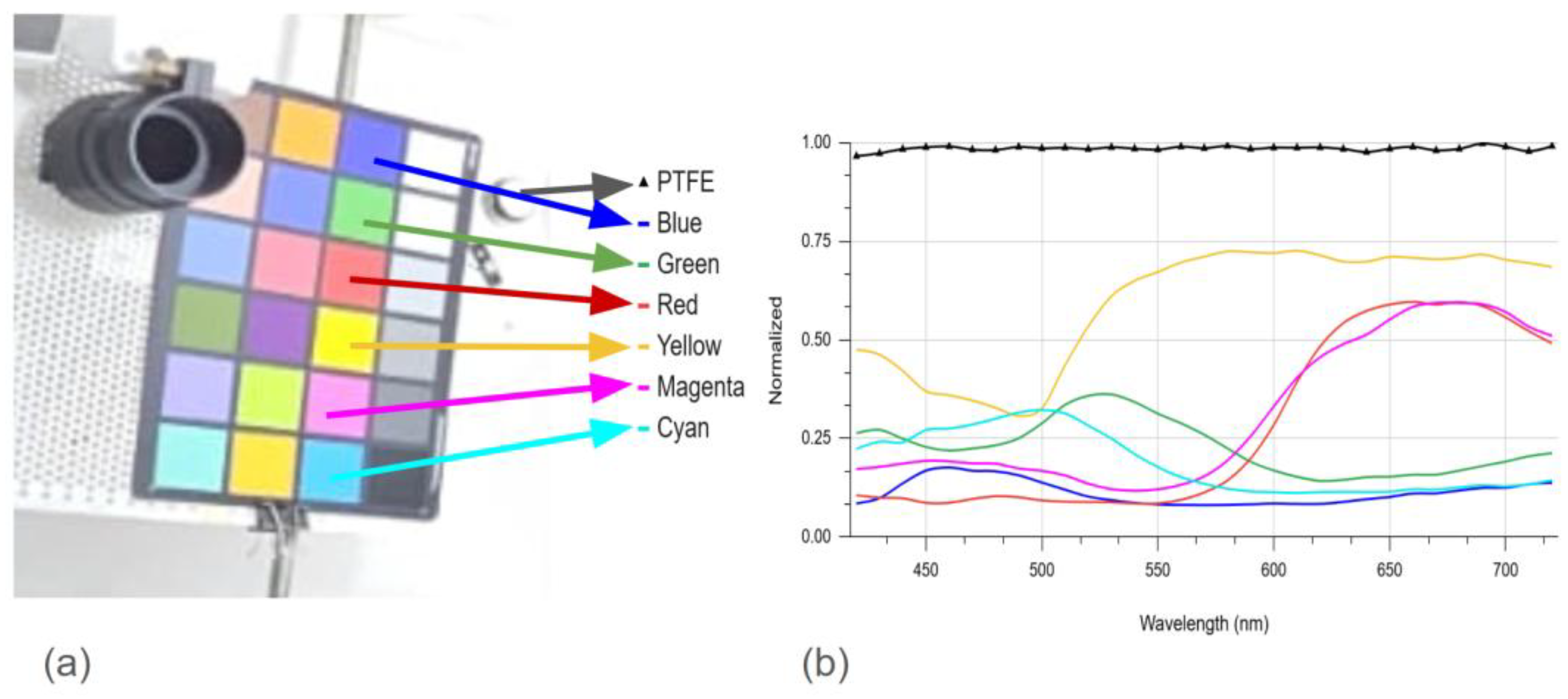 Preprints 201917 g011