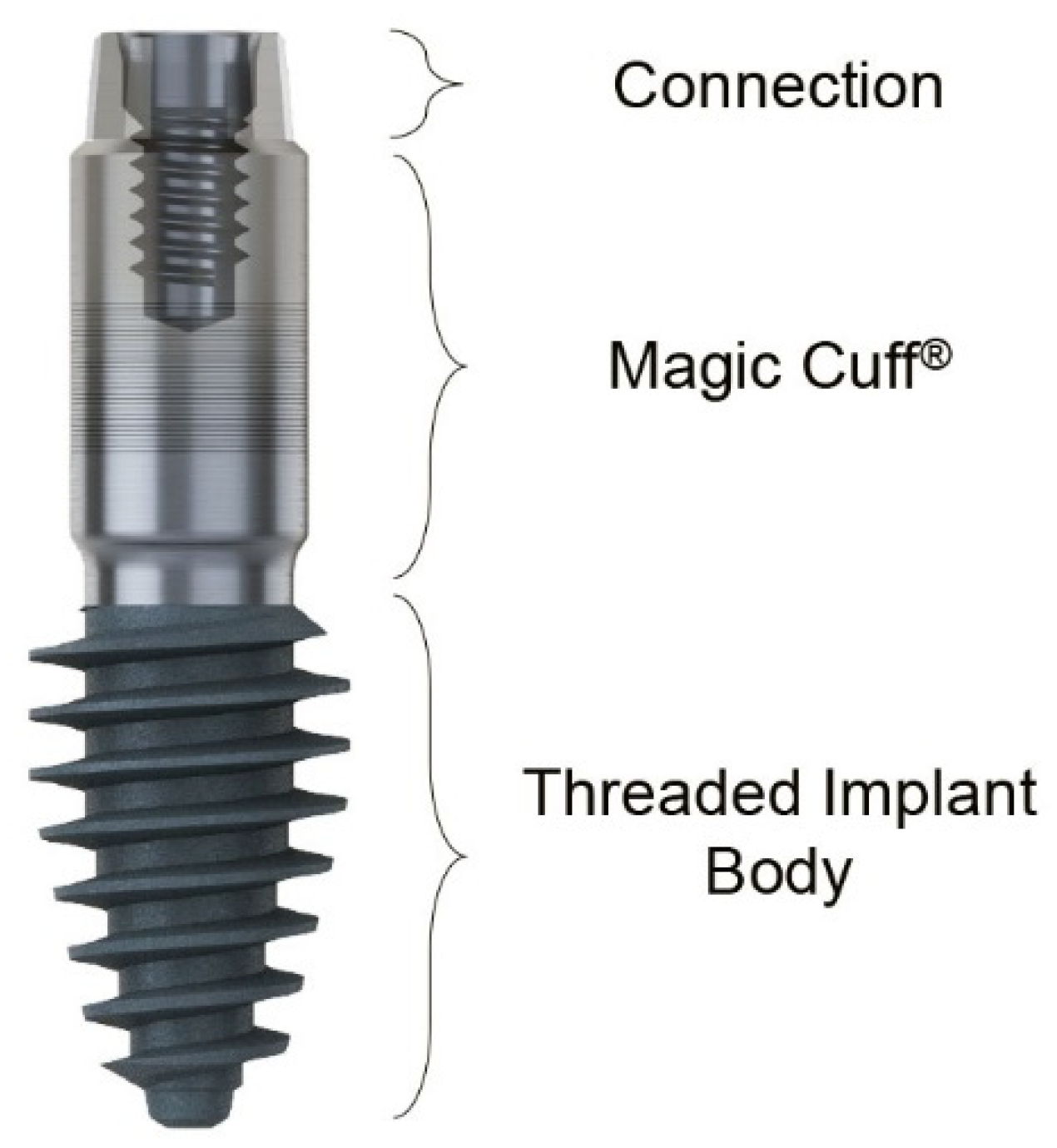 Preprints 155088 g001